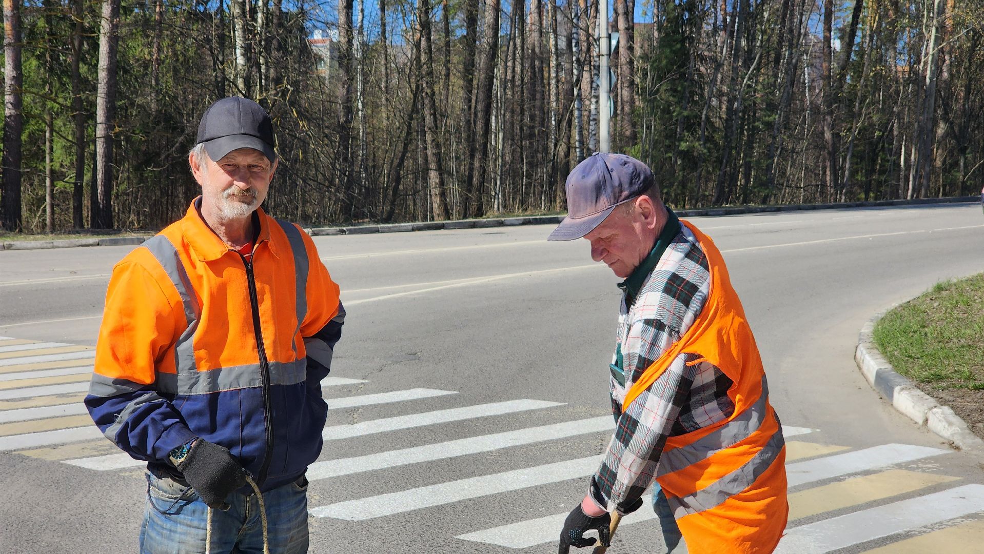 дорожная разметка, протвино, зебра,