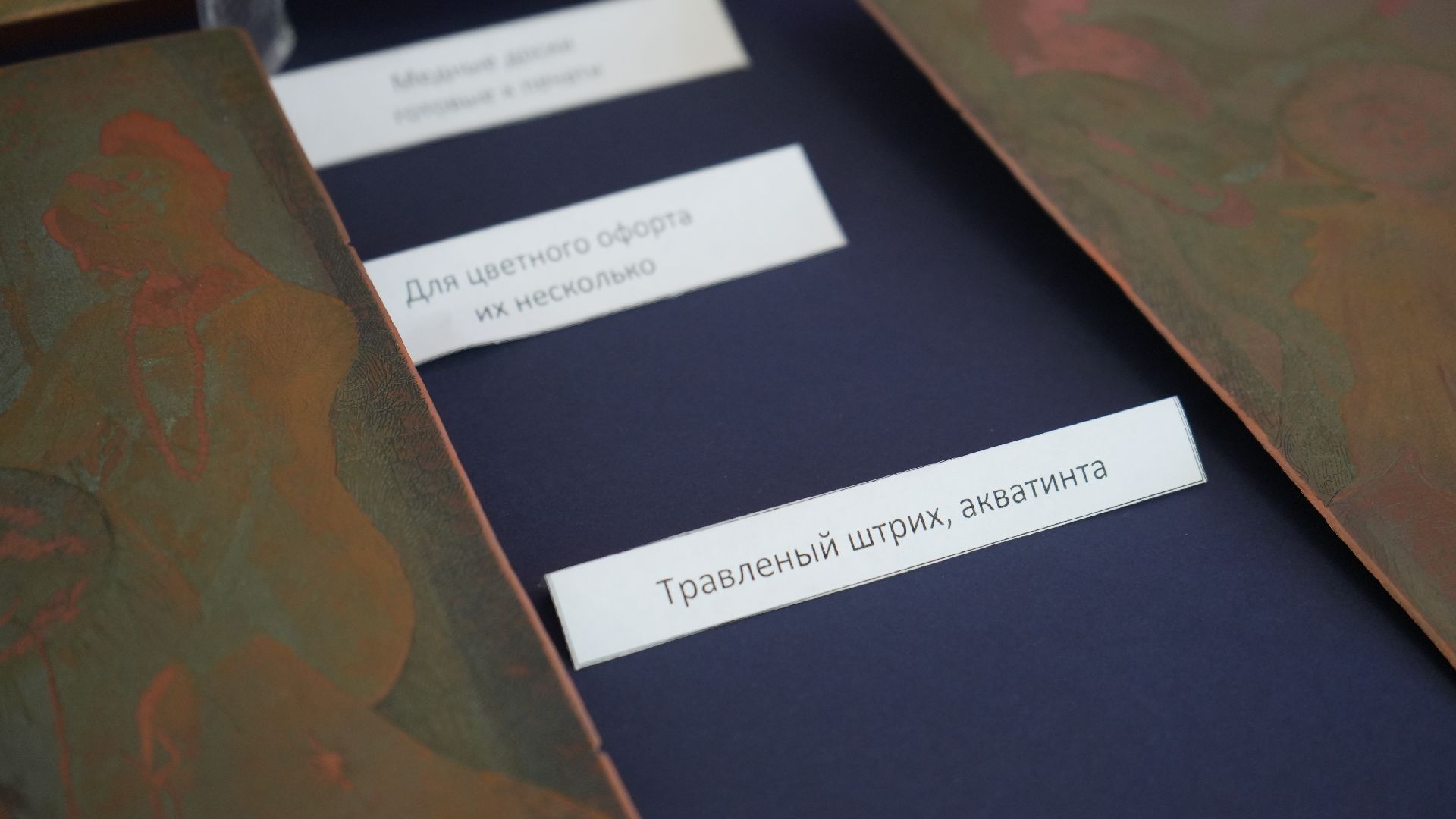 художник, выставка,