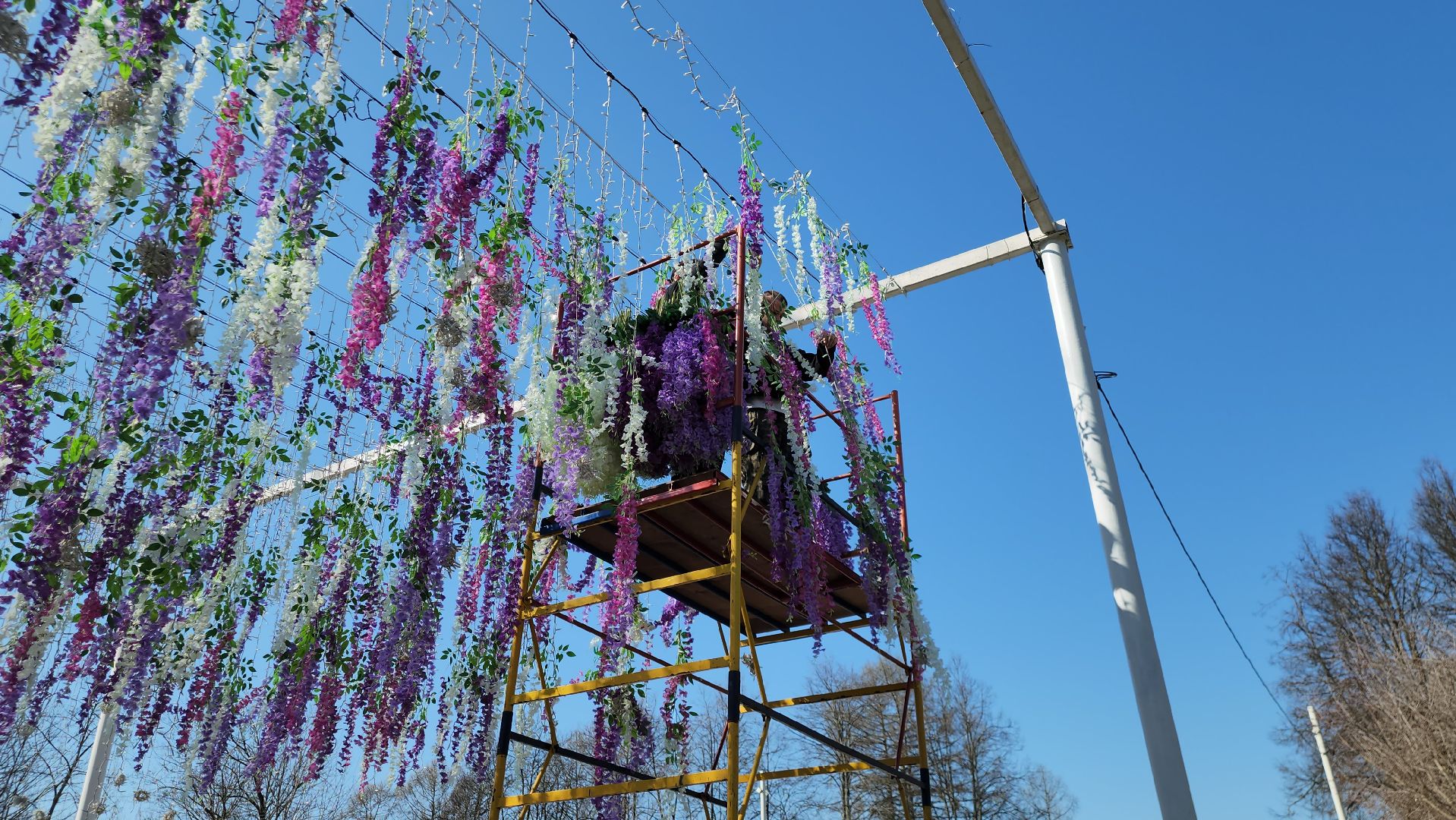 Парк, Истра, Украшение,