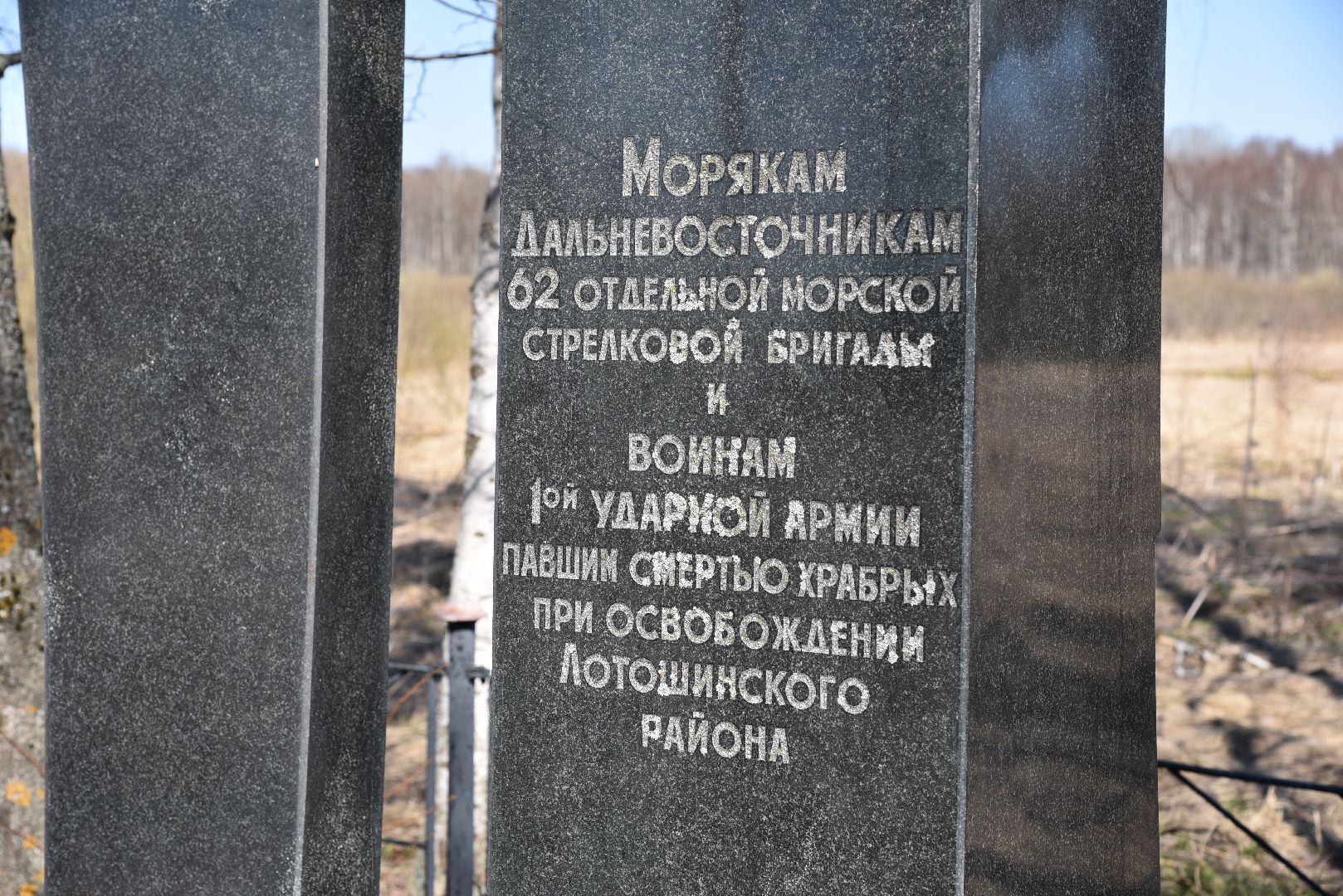 лотошино, волонтер подмосковья, день победы,