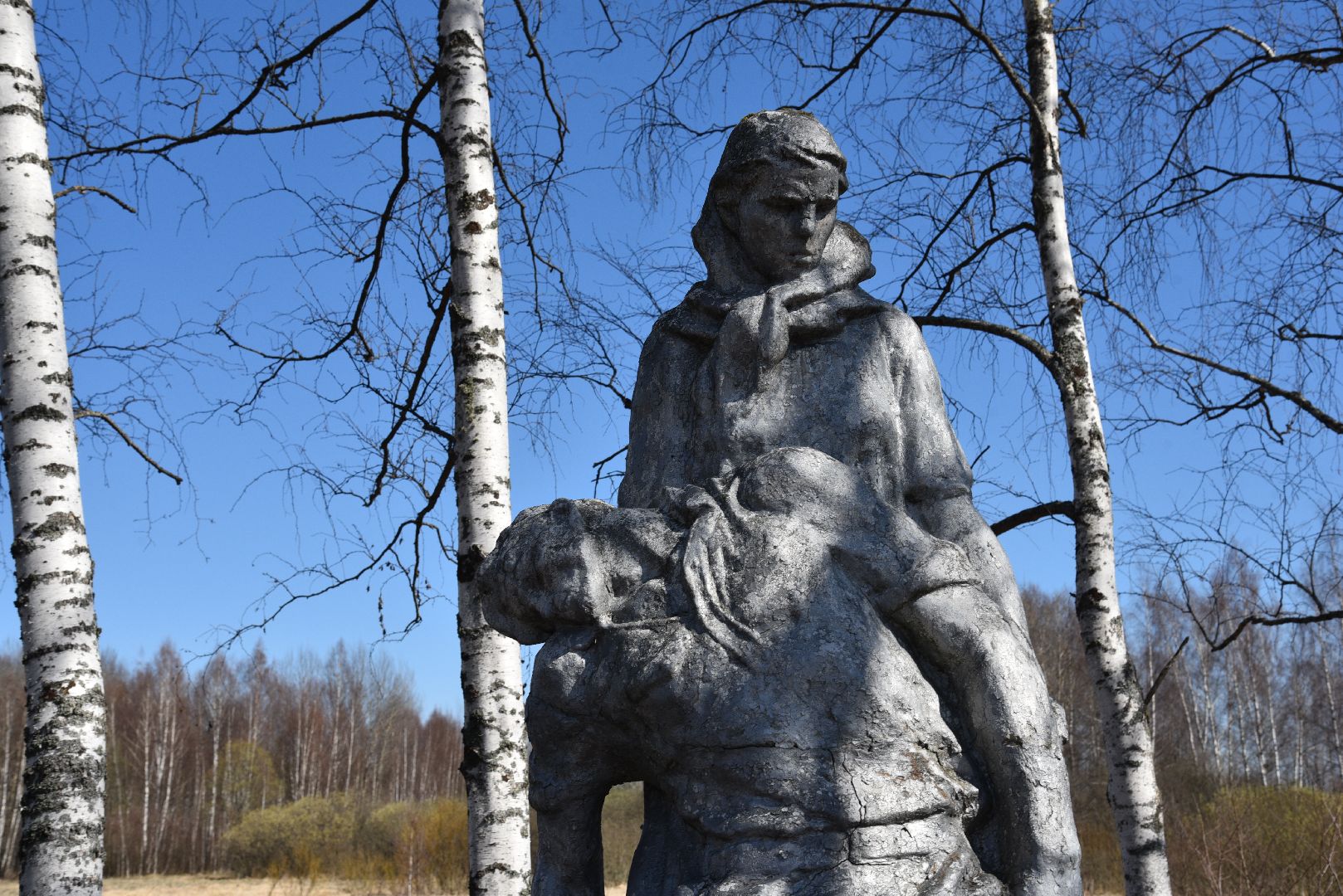 лотошино, волонтер подмосковья, день победы,