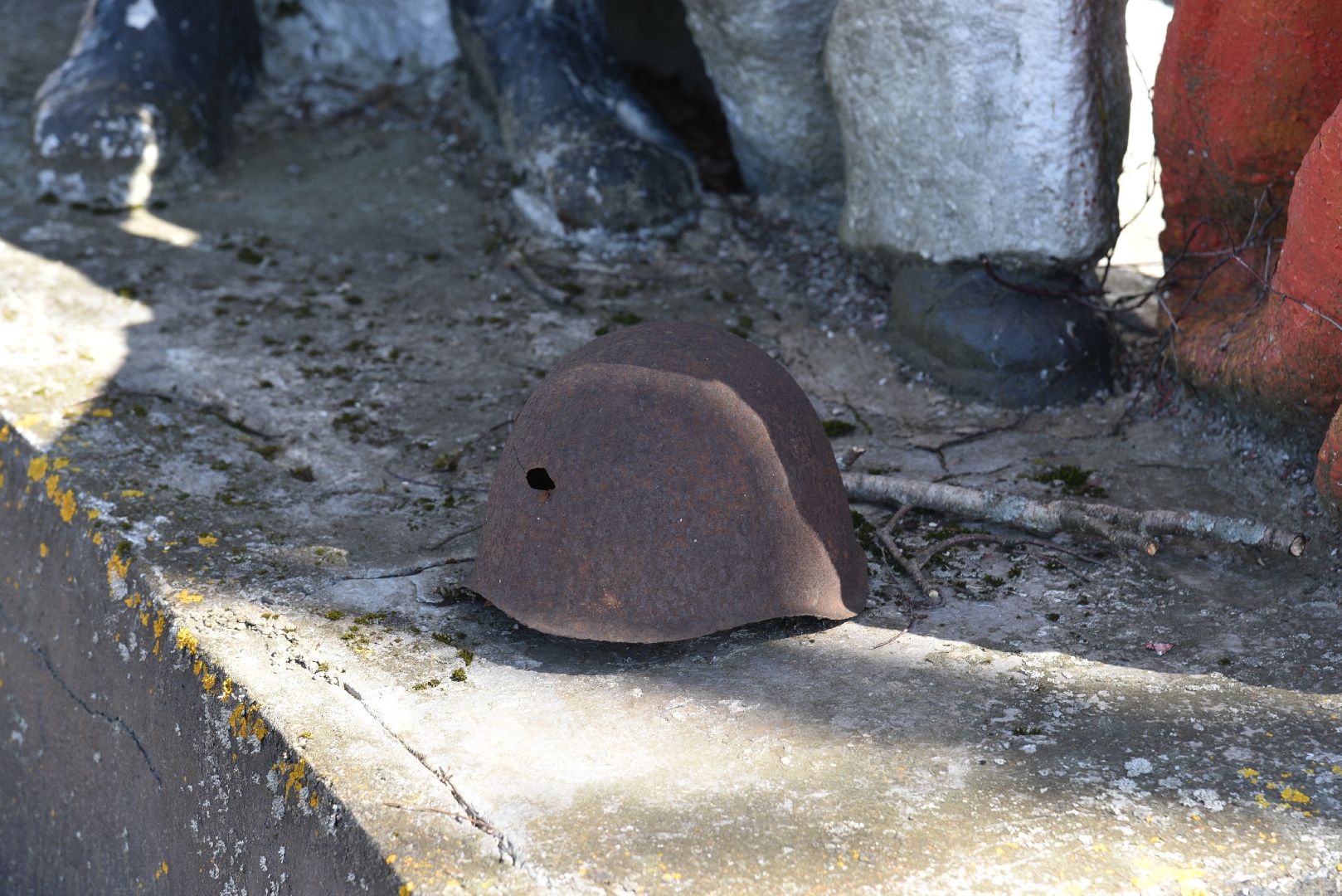 лотошино, волонтер подмосковья, день победы,