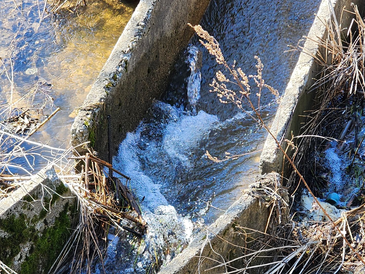 сергиев посад, загорское море, парки подмосковья, премия парки россии,