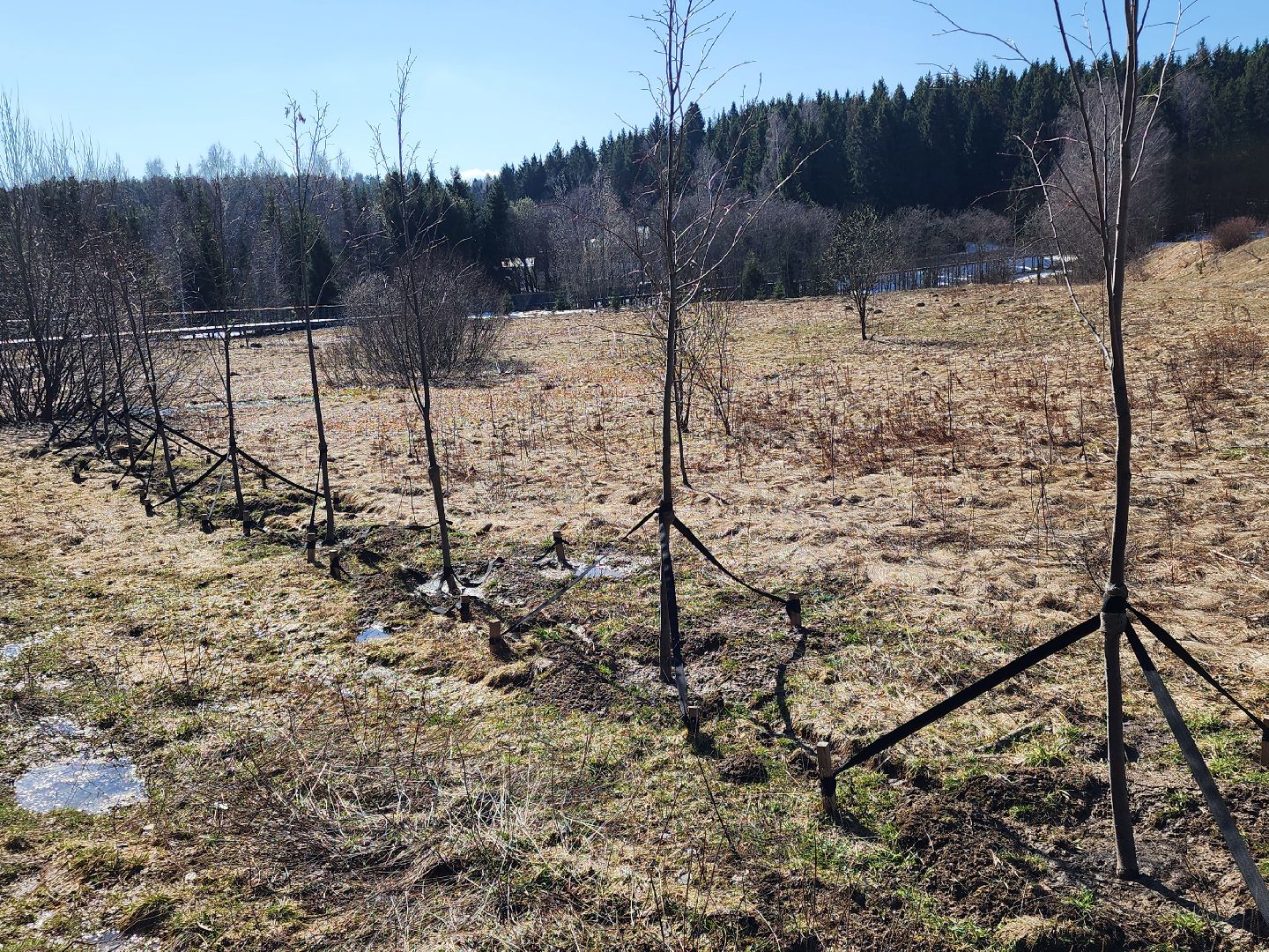 сергиев посад, загорское море, парки подмосковья, премия парки россии,