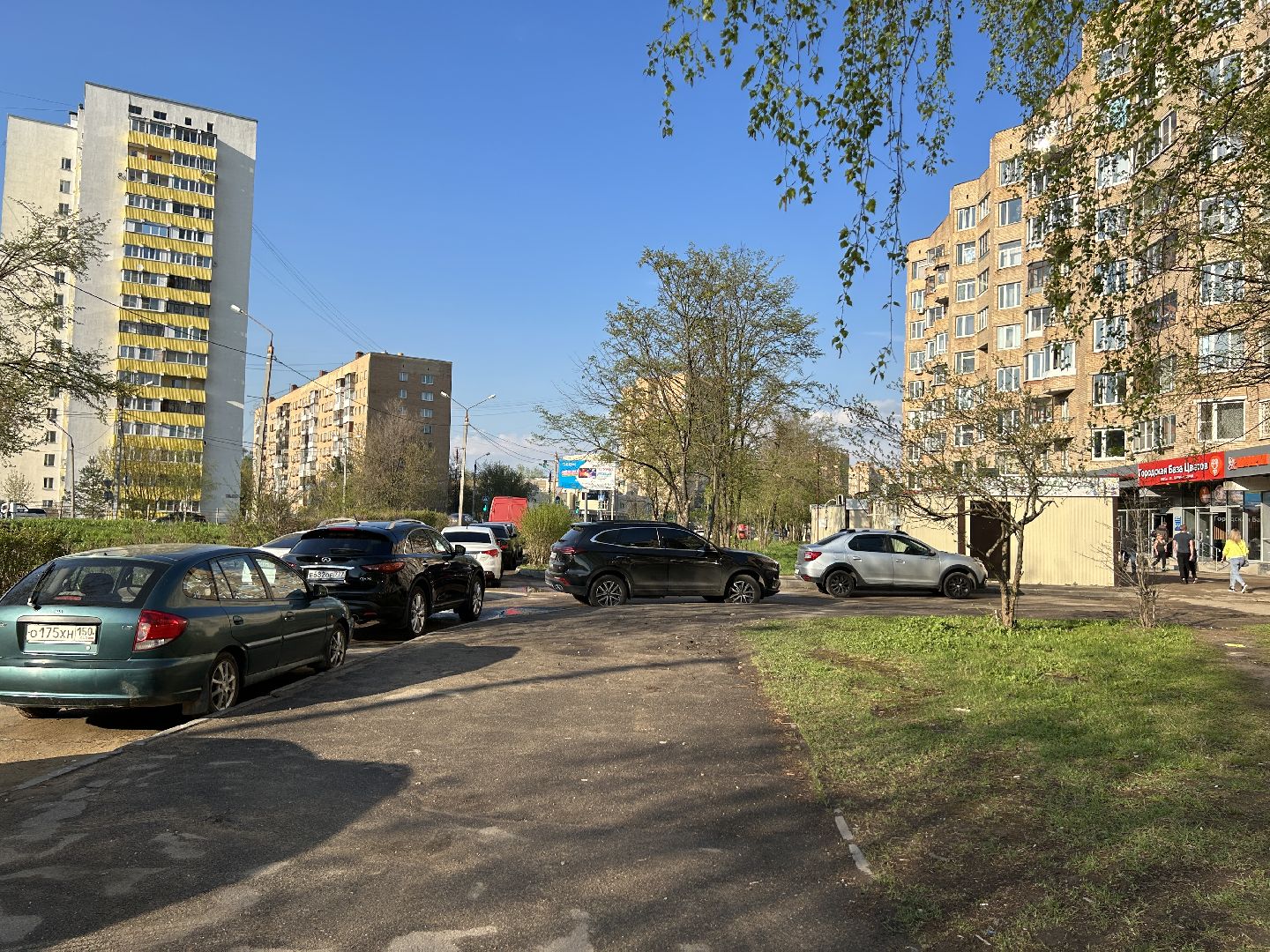 Благоустройство, Фрязино, жители, лес Победы