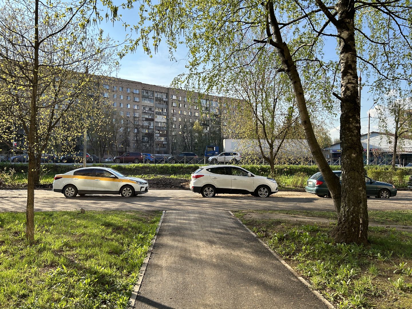 Благоустройство, Фрязино, жители, лес Победы