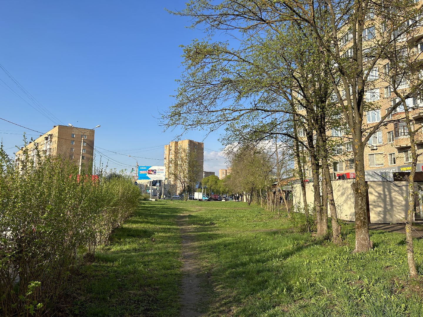 Благоустройство, Фрязино, жители, лес Победы