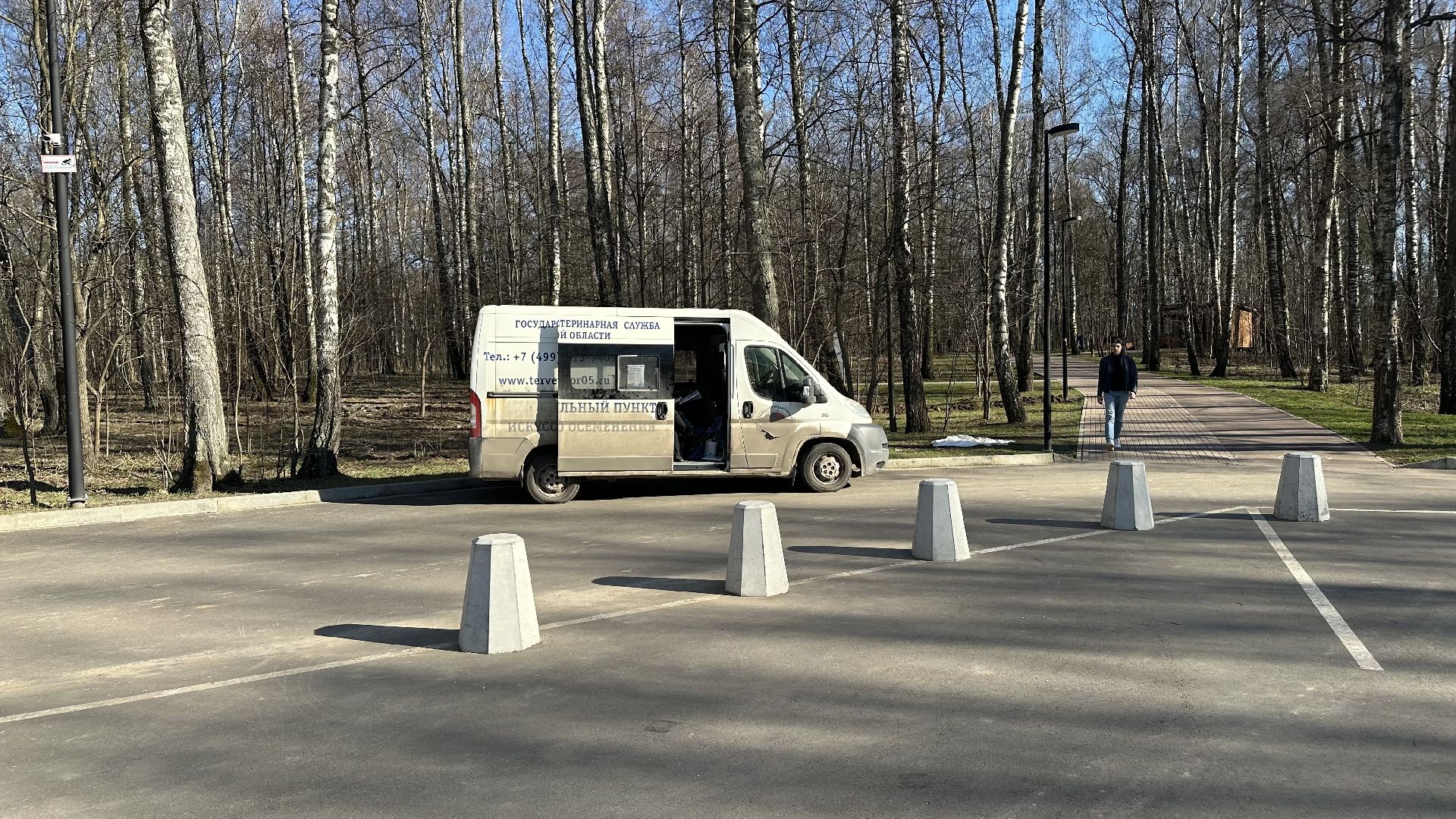 чипирование домашних животных, домодедово,