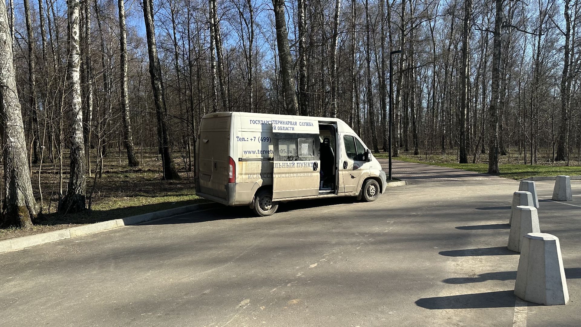 чипирование домашних животных, домодедово,