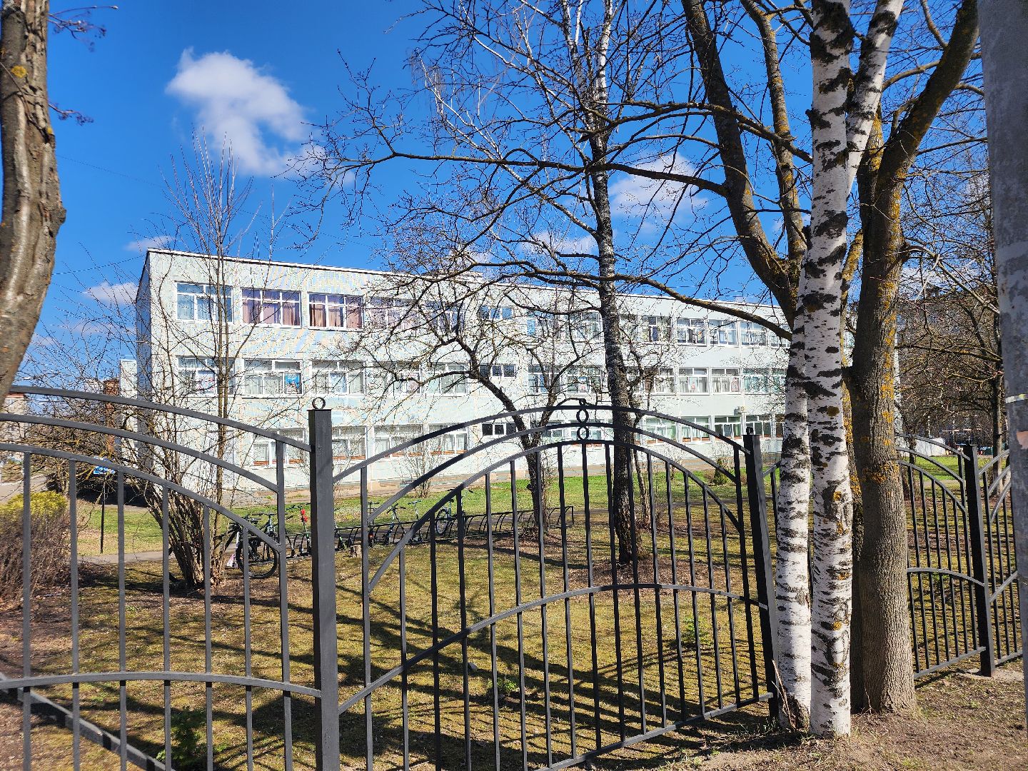 сергиев посад, гимназия 5, советник директора, советник-методист, логинова полина,