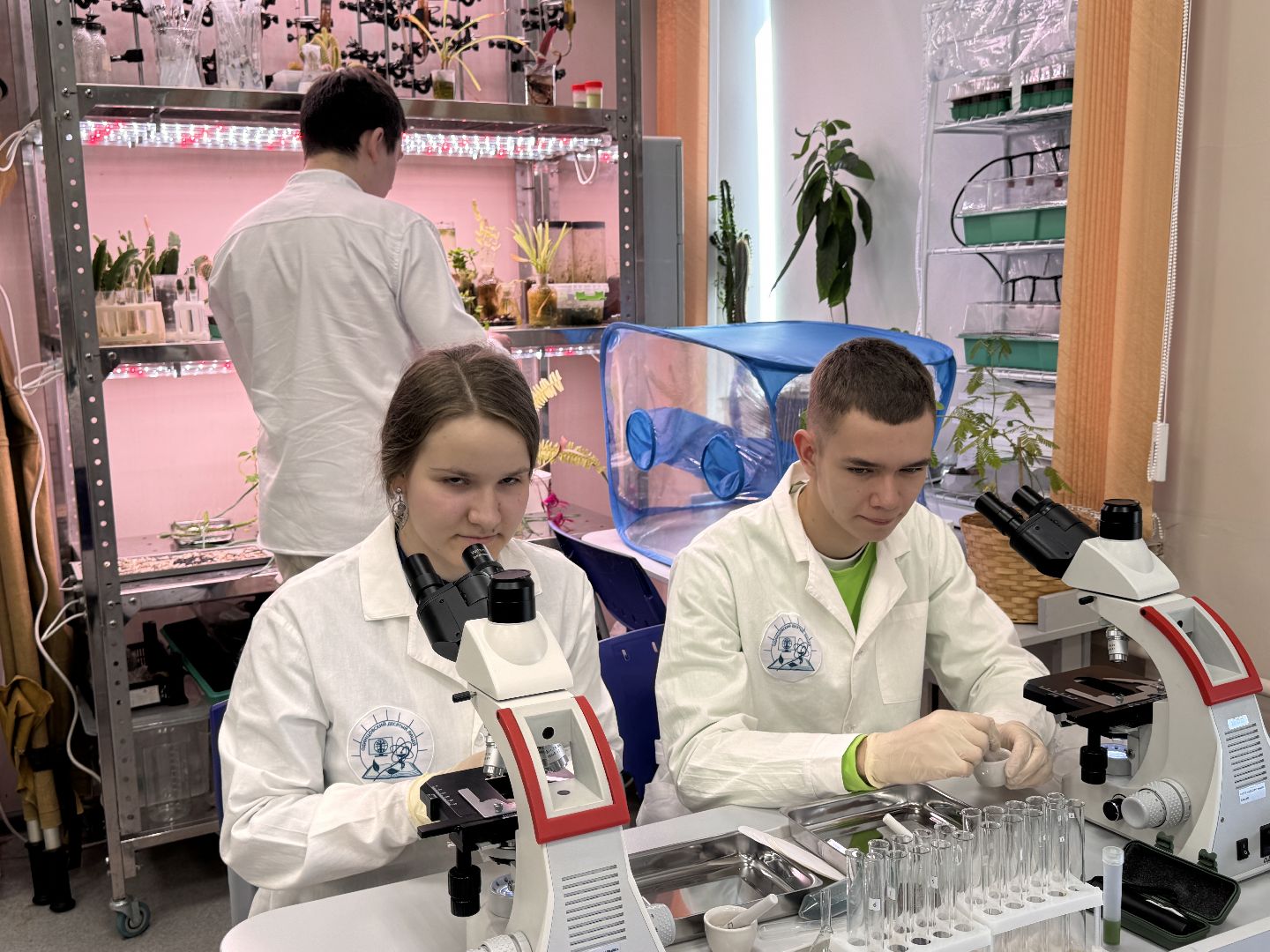 Хакатон , Юные медики из Одинцова, Образование МО,