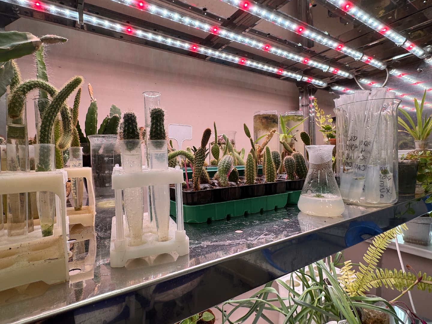 Хакатон , Юные медики из Одинцова, Образование МО,