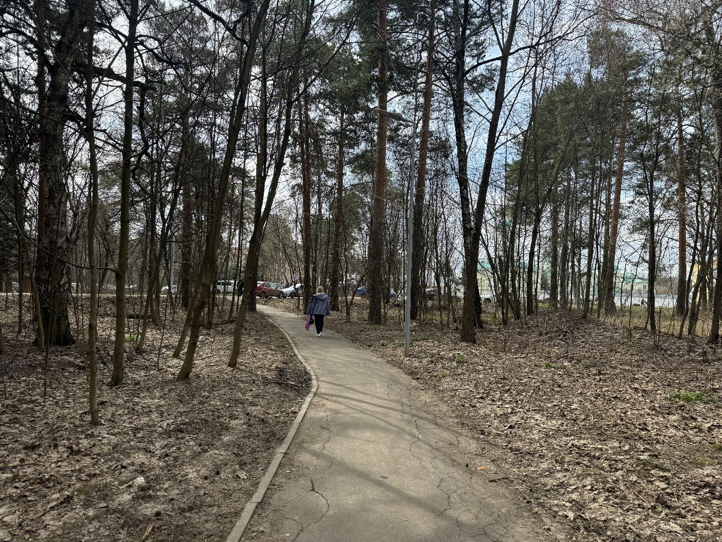 выездная администрация, ленинский городской округ, благоустройство парка,