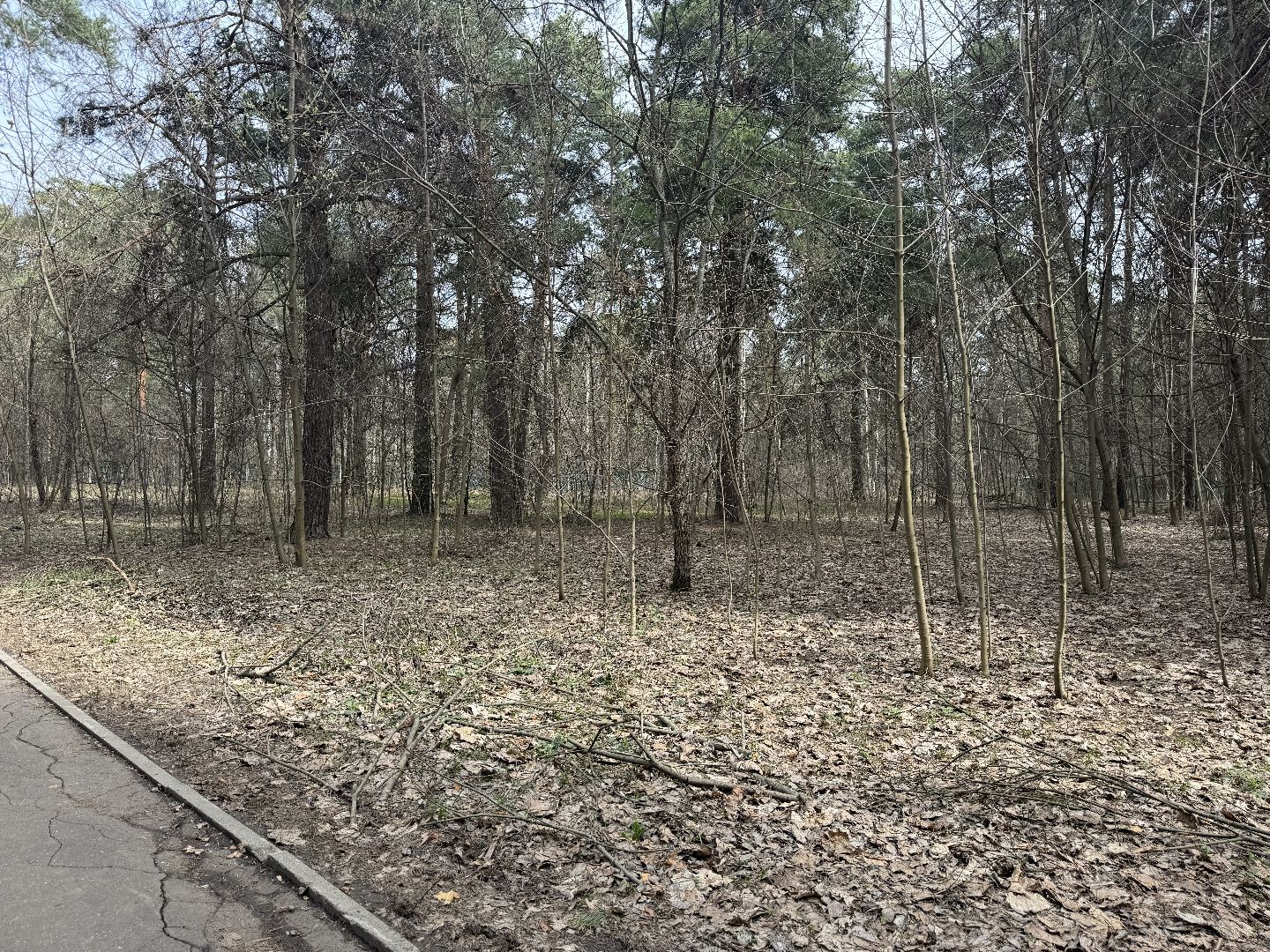 выездная администрация, ленинский городской округ, благоустройство парка,