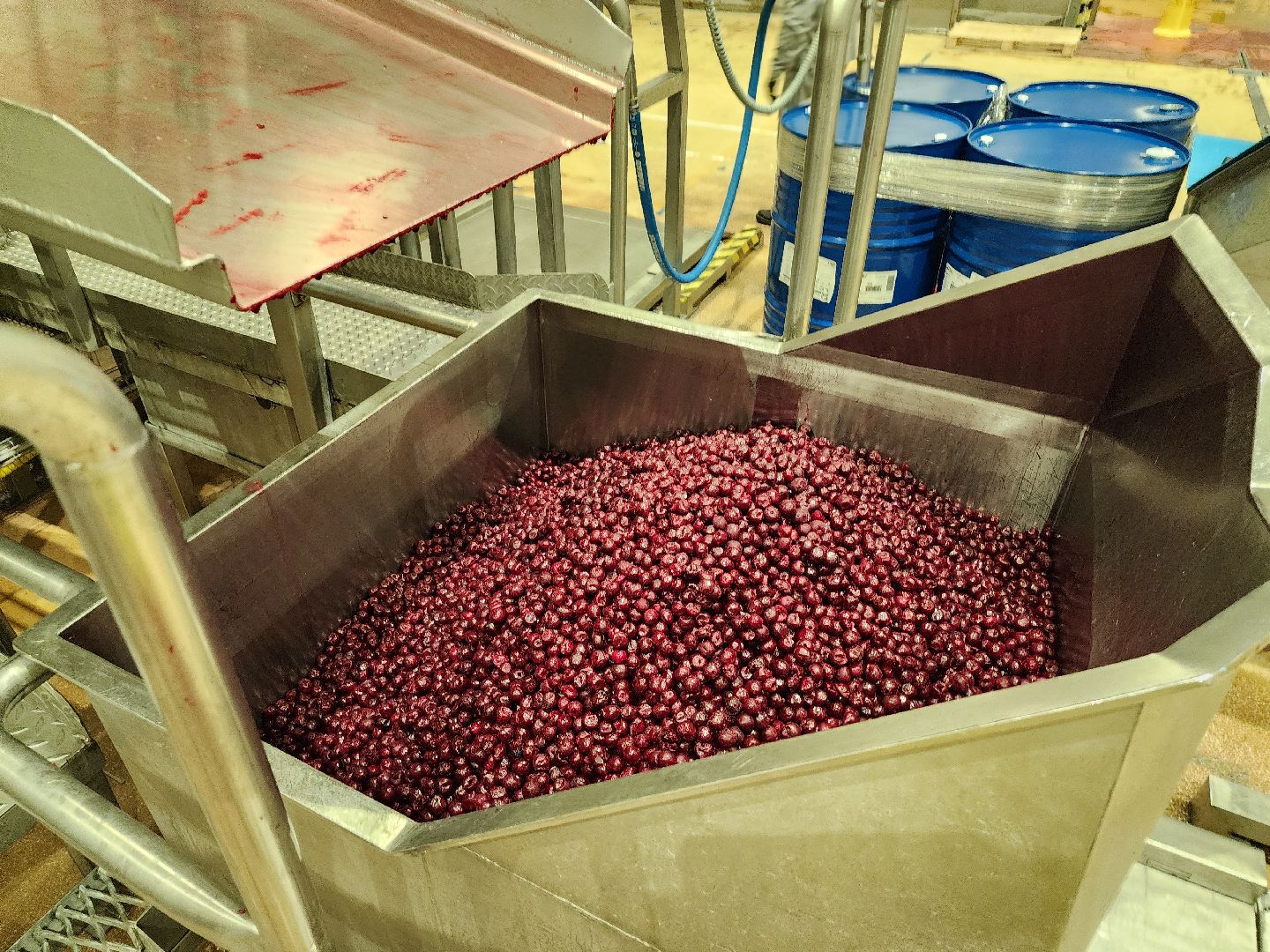 серпухов, аграна фрут, завод фруктовых наполнителей, улица фестивальная, экономика,