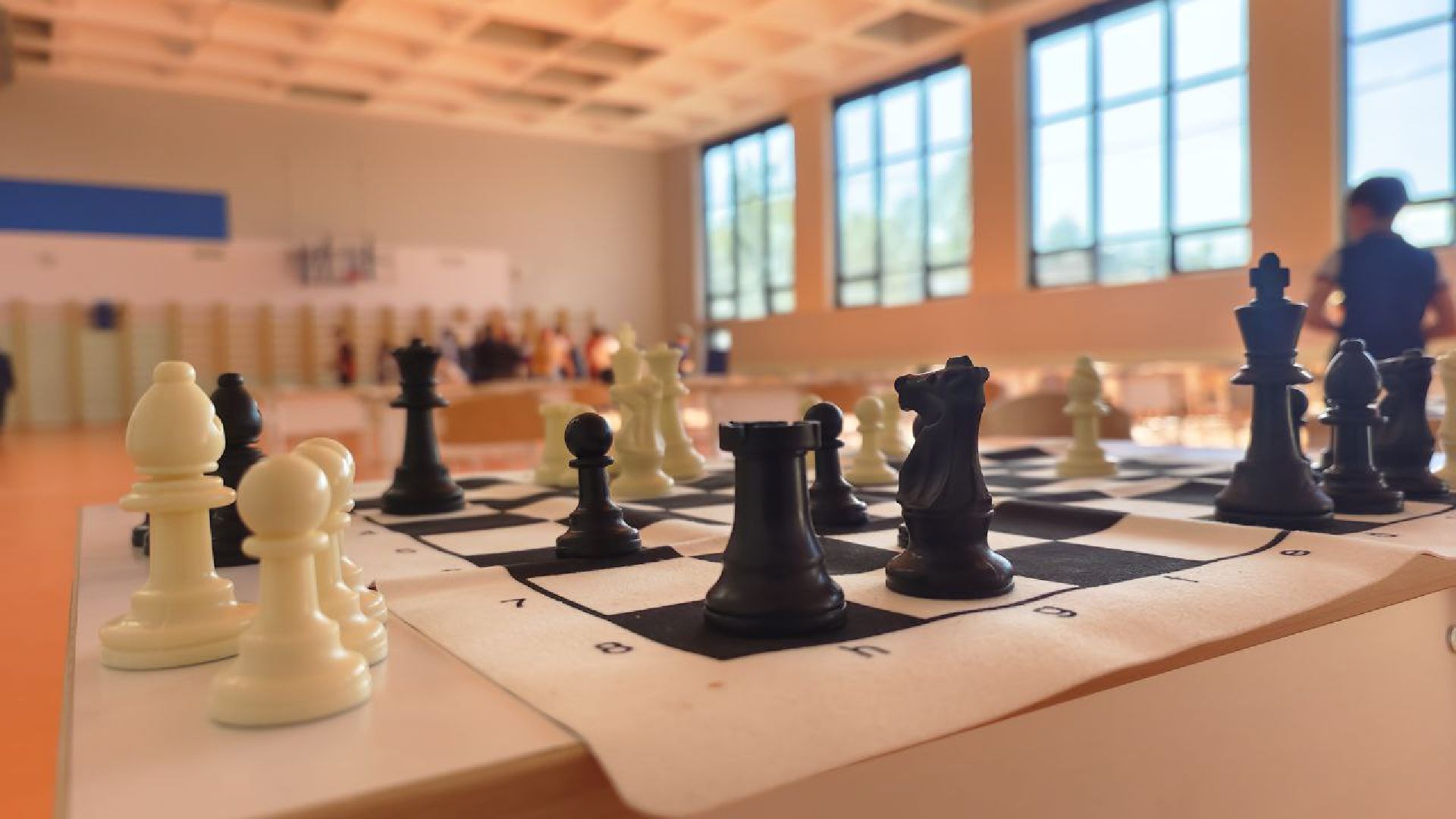 Карякин Сергей, шахматы, Домодедово