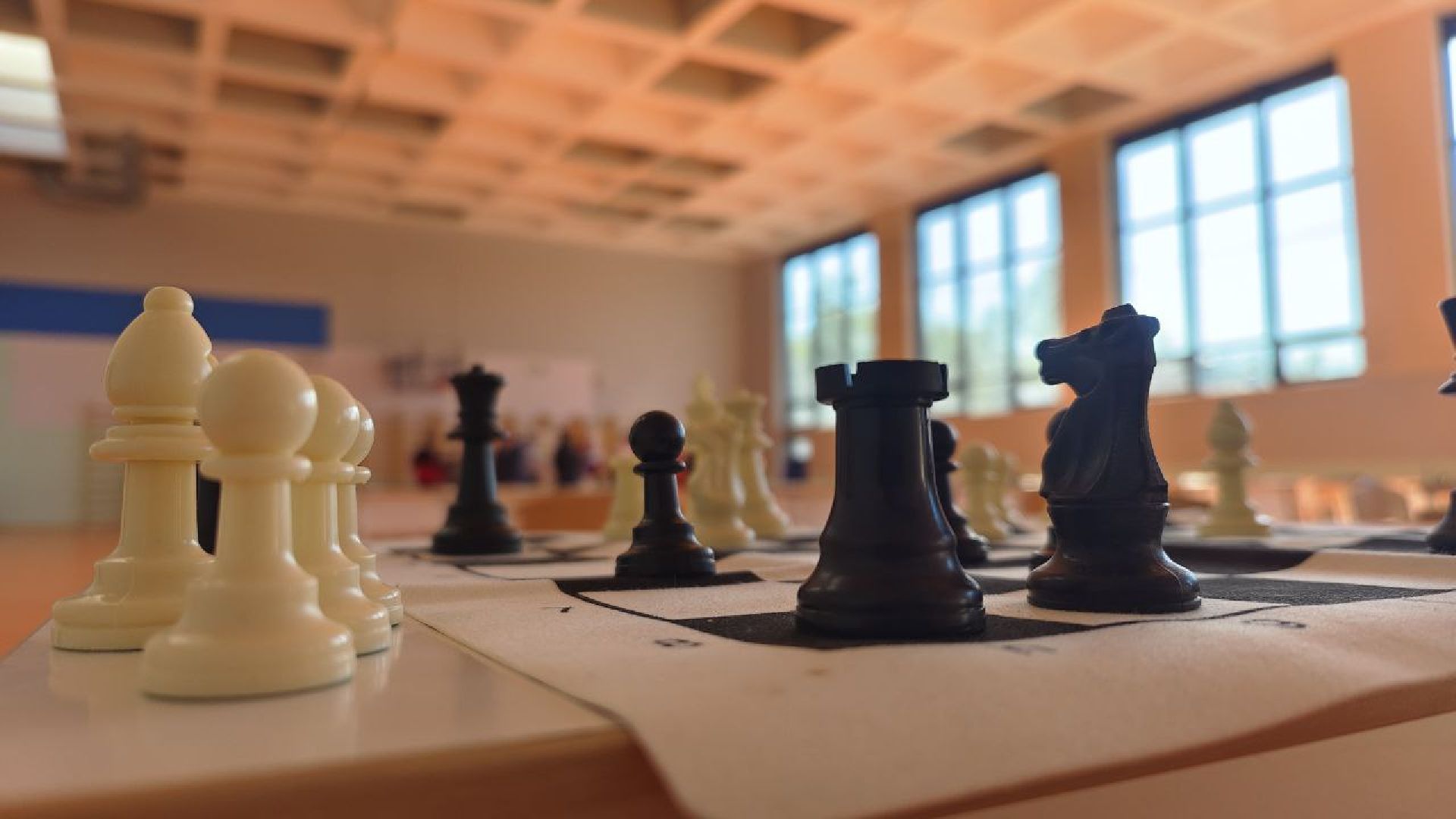 Карякин Сергей, шахматы, Домодедово