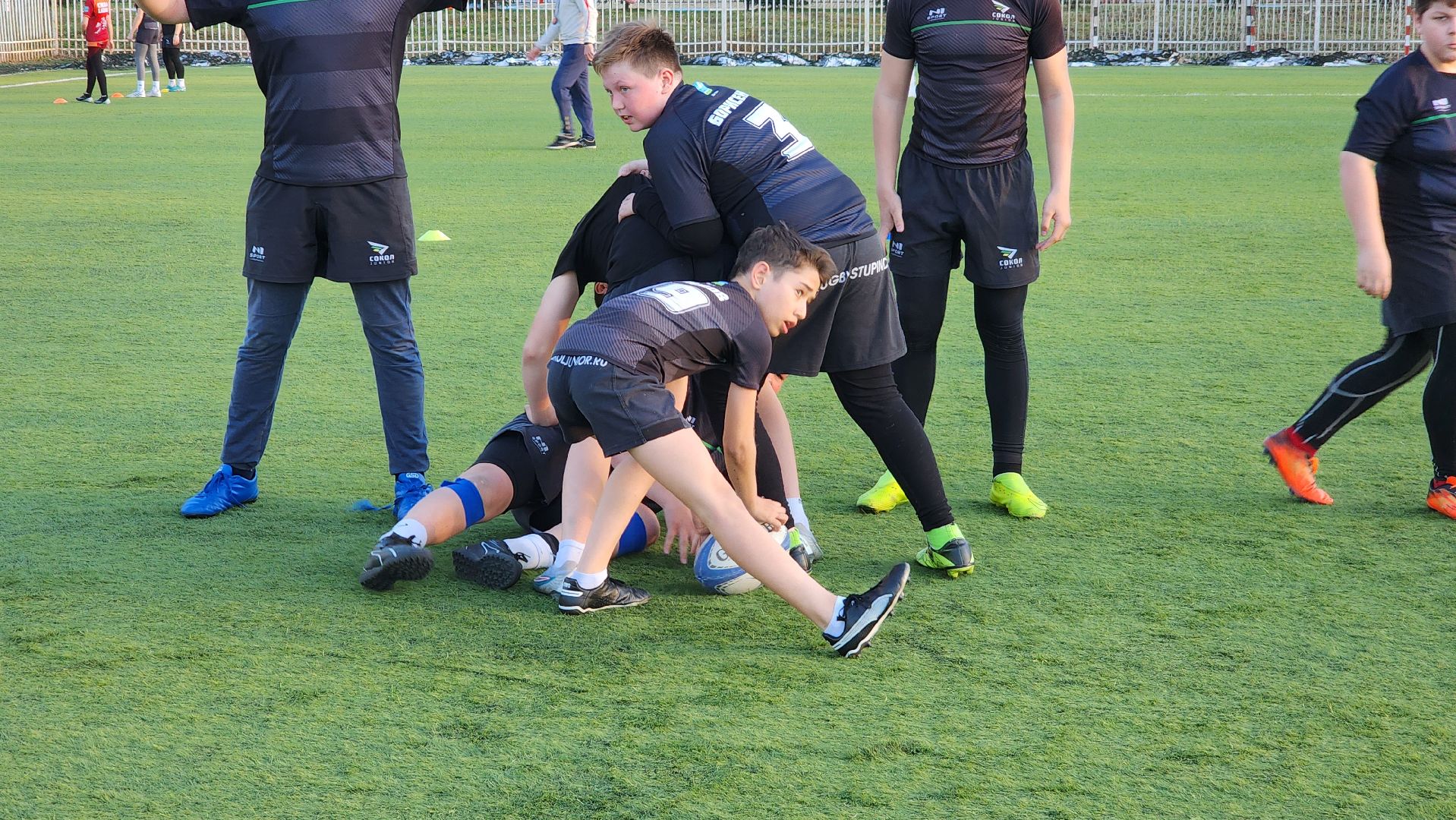 ступино, спорт, регби,