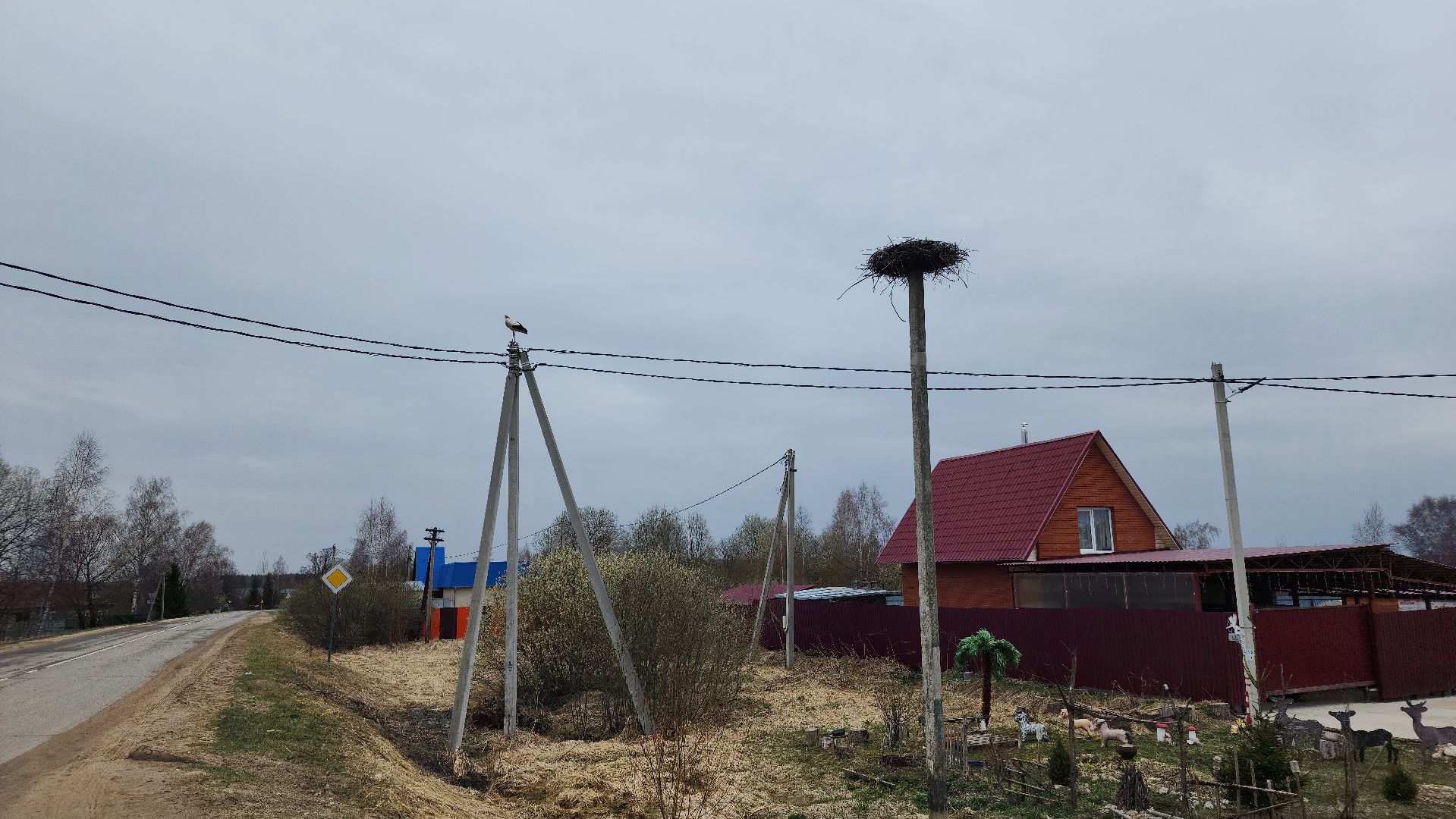 волоколамск, аисты,