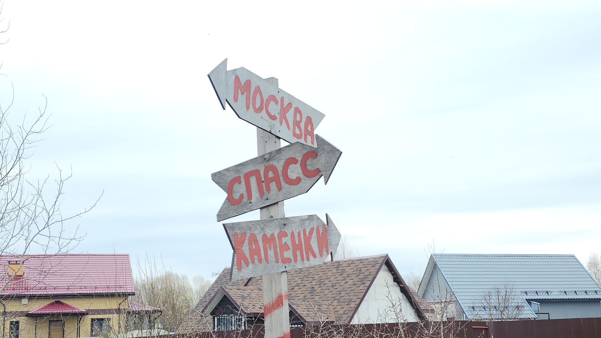 волоколамск, аисты,