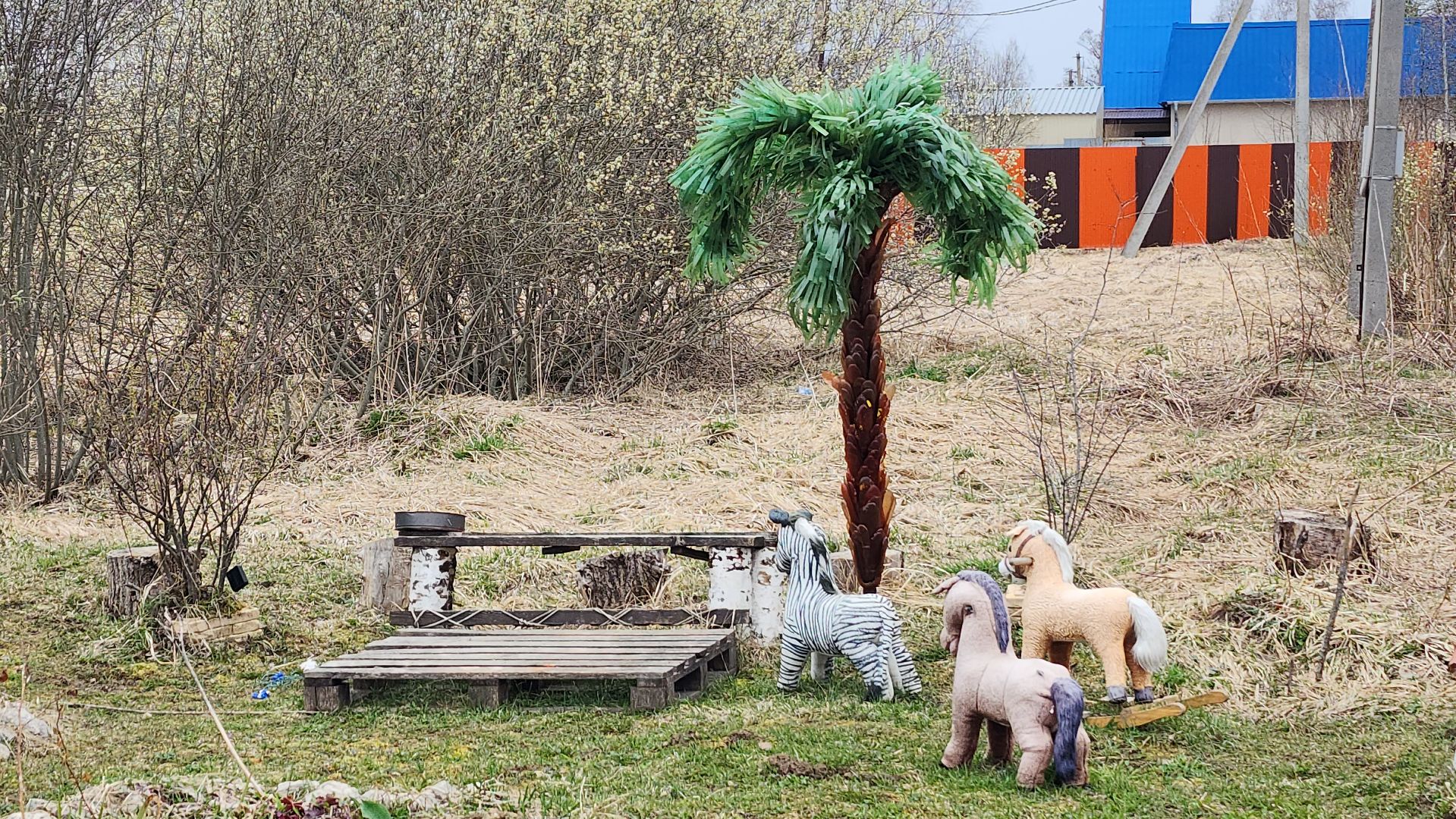 волоколамск, аисты,