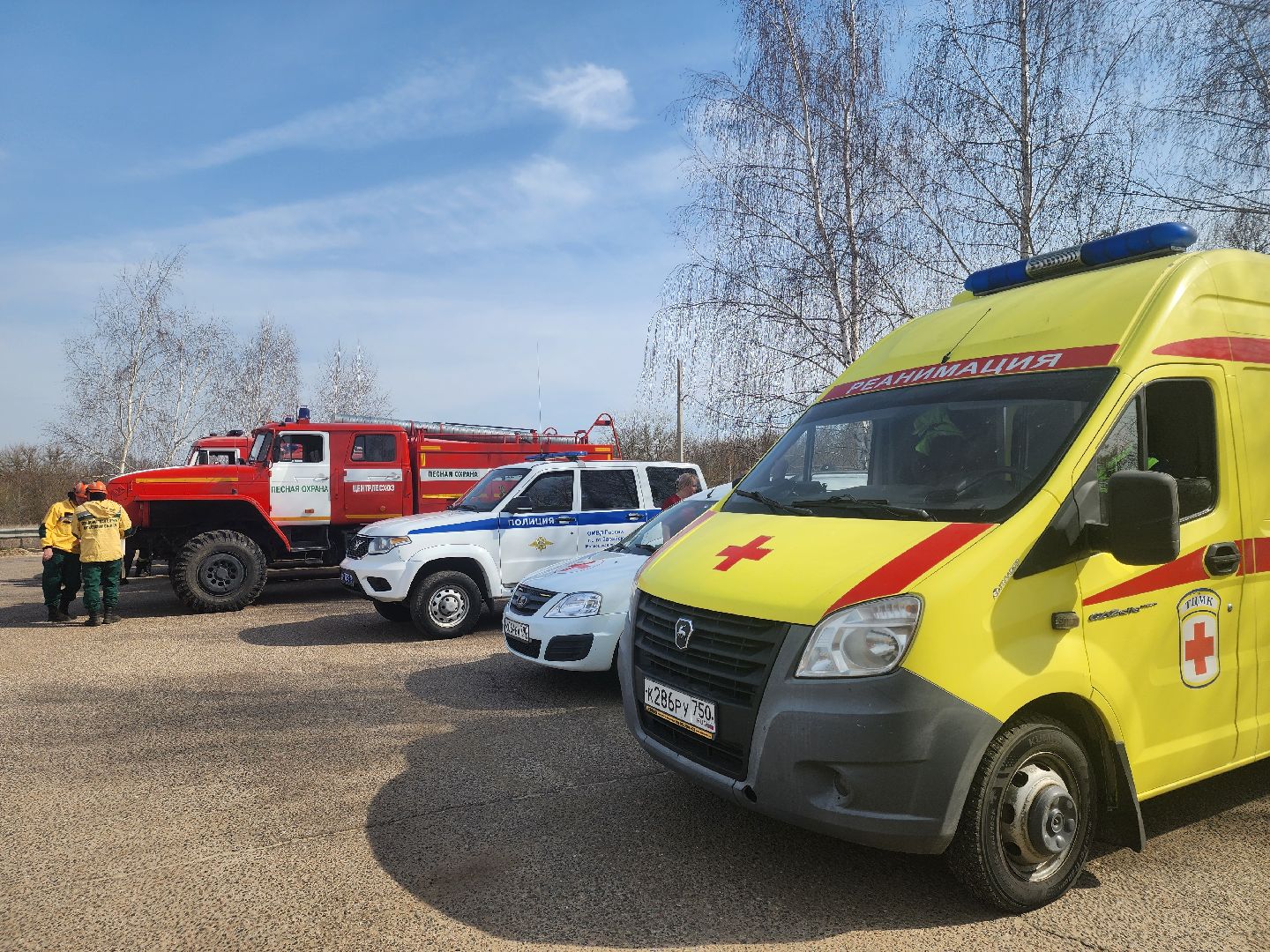 Зарайск, Пожары, Поджоги травы, Лесная охрана, Тактические учения,
