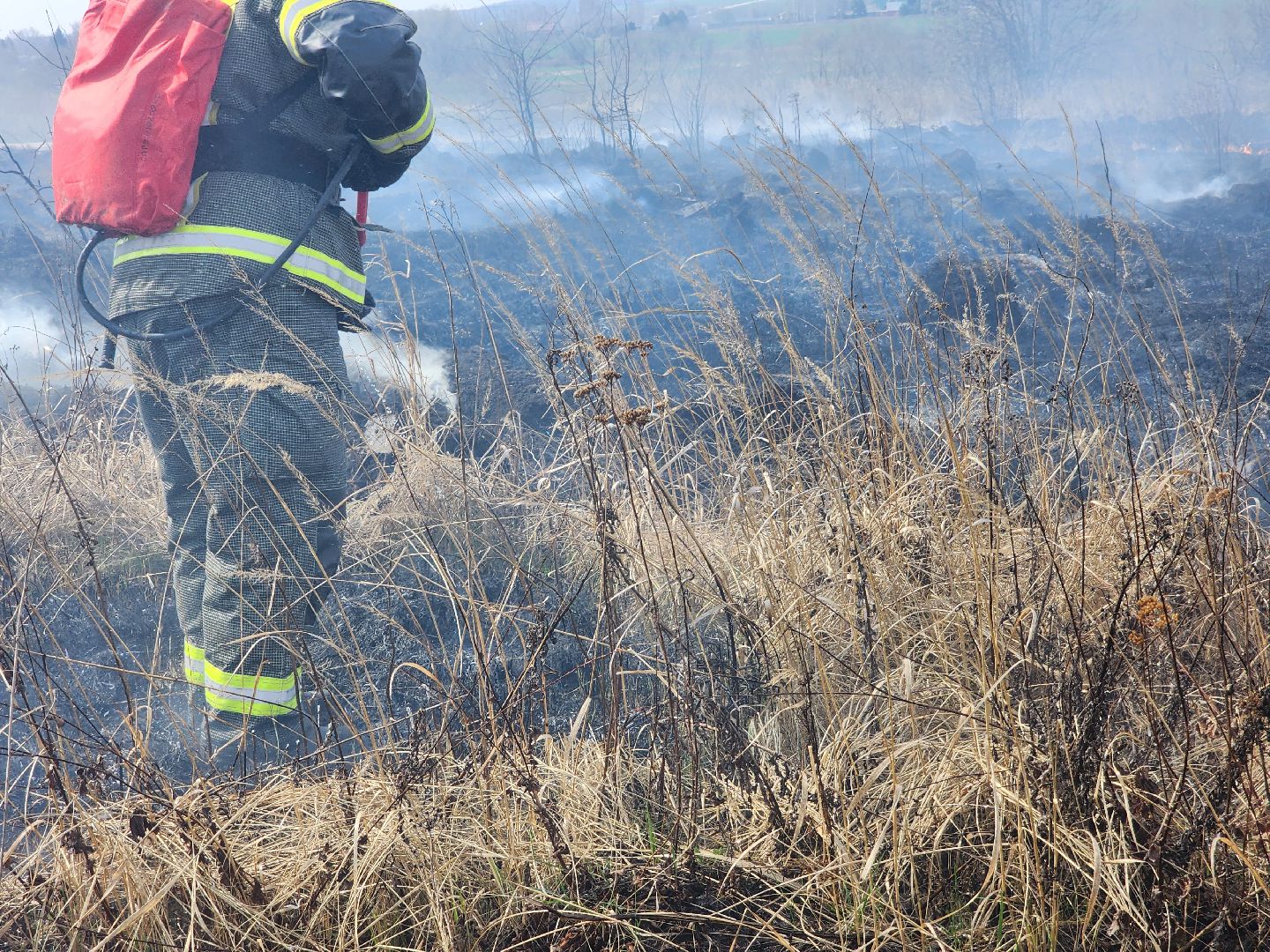 Зарайск, Пожары, Поджоги травы, Лесная охрана, Тактические учения,