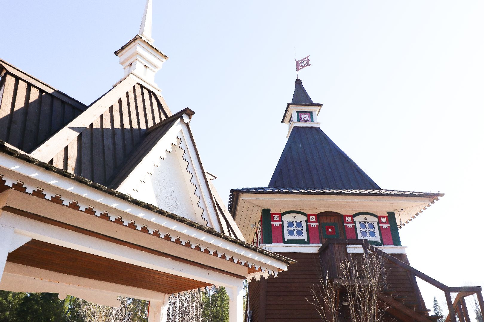 клин, общество, животные, экология,