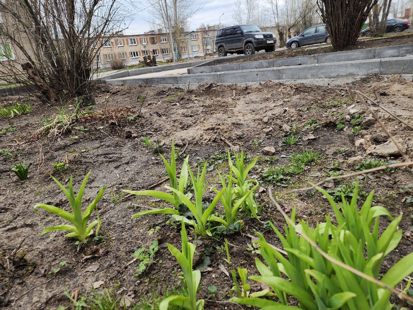 благоустройство дворов, орехово-зуевский округ, малая дубна,