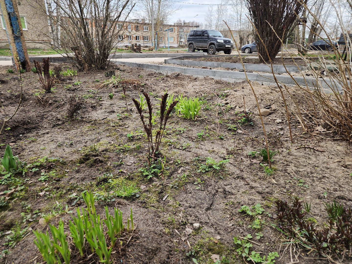 благоустройство дворов, орехово-зуевский округ, малая дубна,