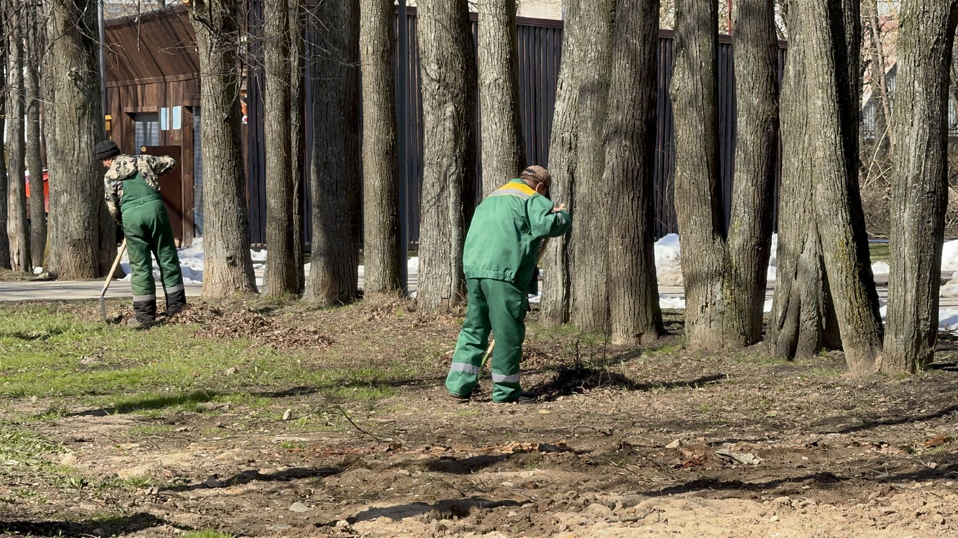 солнечногорск, уборка территории, городской парк, жители, листва,