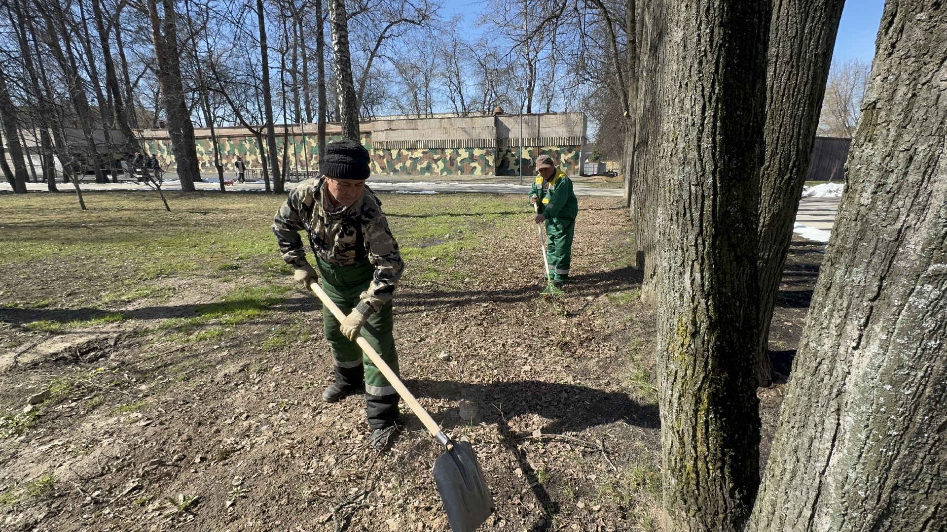 солнечногорск, уборка территории, городской парк, жители, листва,