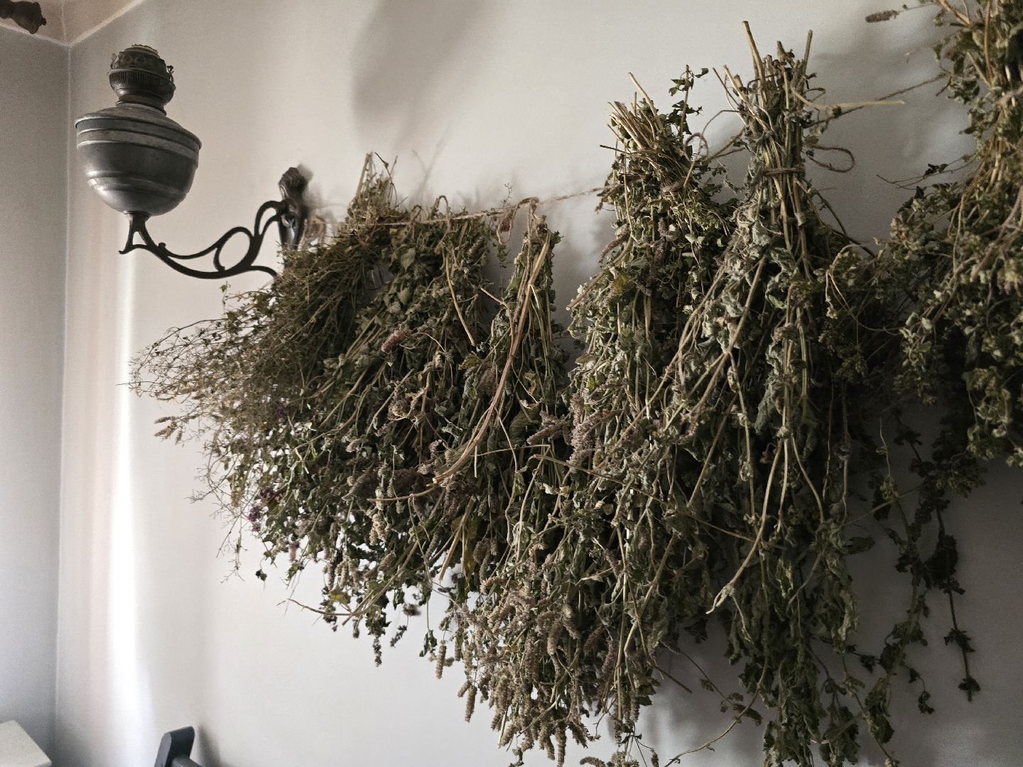 Коломна , туризм, купеческий дом,