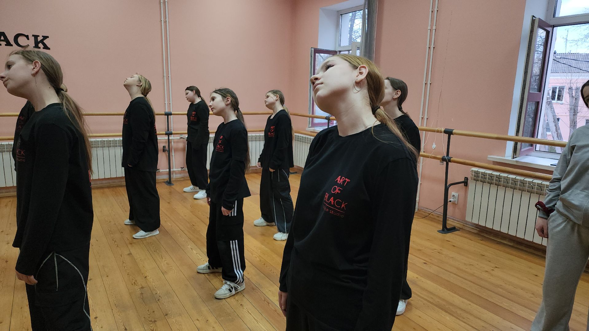 кашира, ожерелье, дк ожерелье, танцы, art of black, фестиваль, город танцует в парках, отдых,