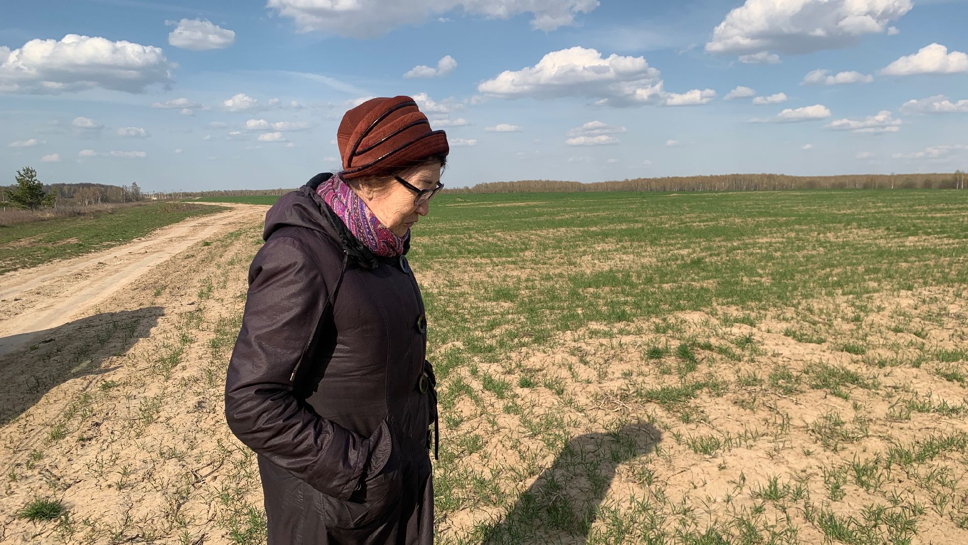 Ступино, экономика, пшеница без глютена, алькор, знамение