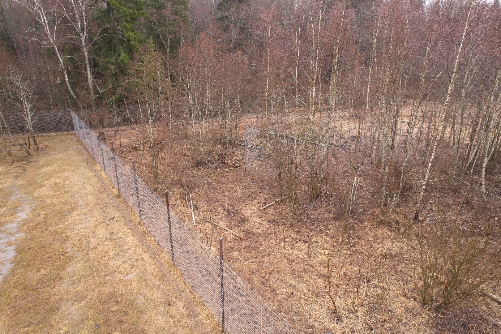 видео с коптера, сафари-парк в можайске, туризм можайска,