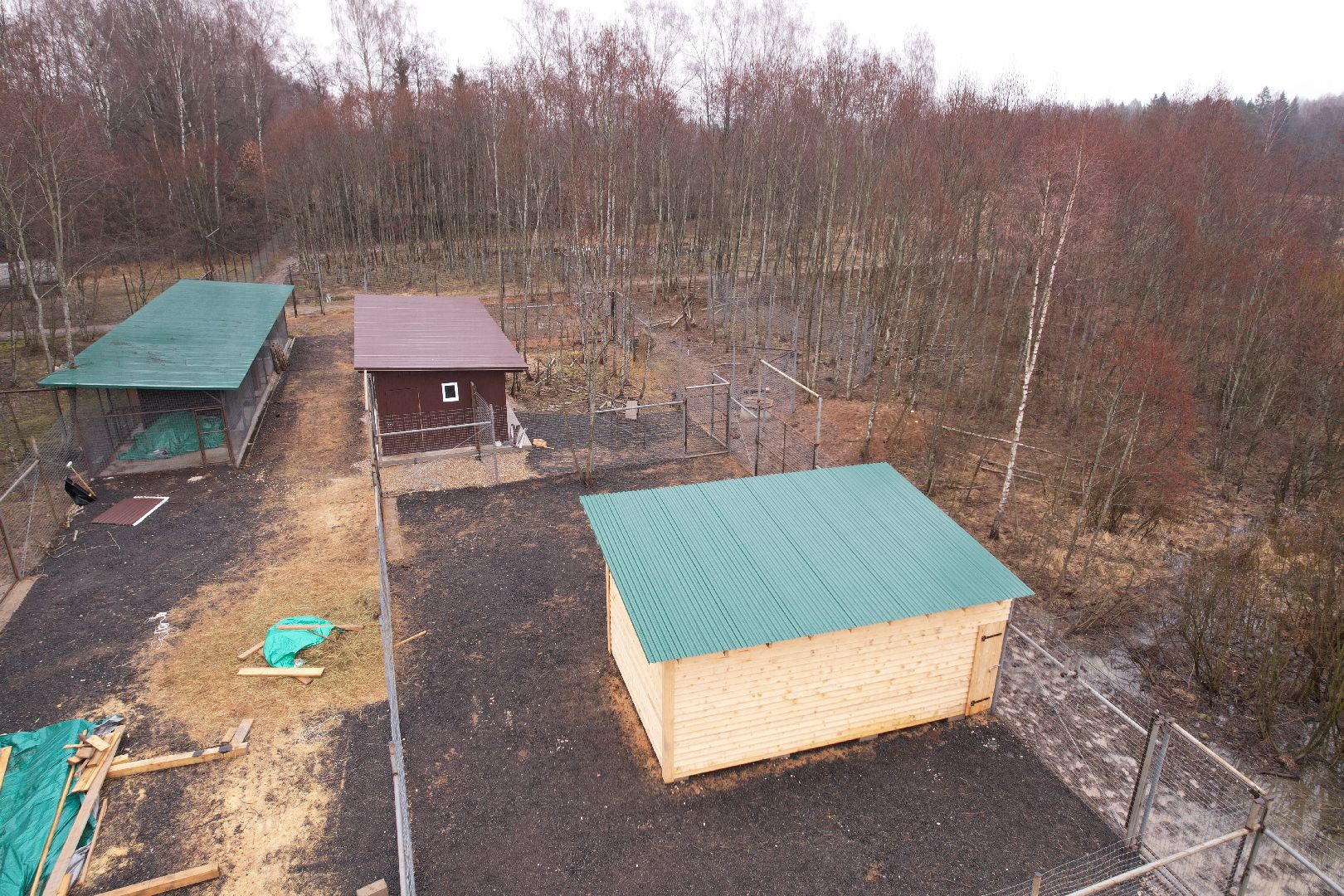 видео с коптера, сафари-парк в можайске, туризм можайска,