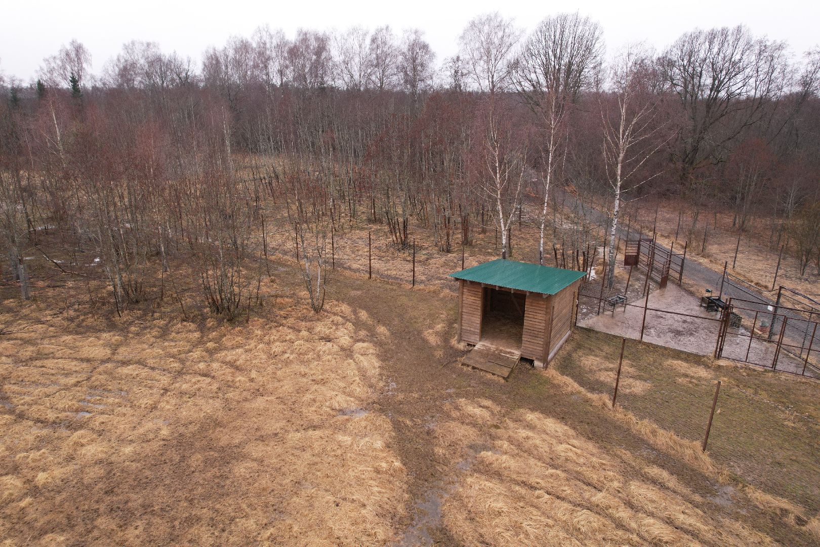 видео с коптера, сафари-парк в можайске, туризм можайска,
