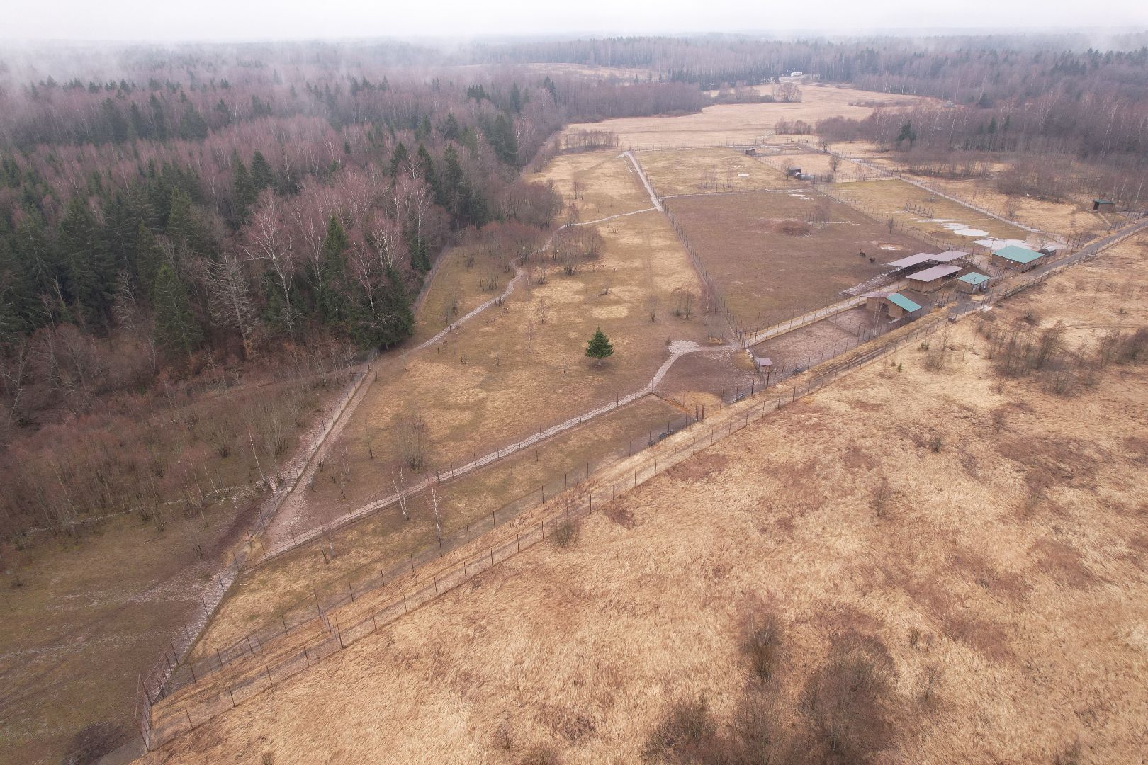 видео с коптера, сафари-парк в можайске, туризм можайска,