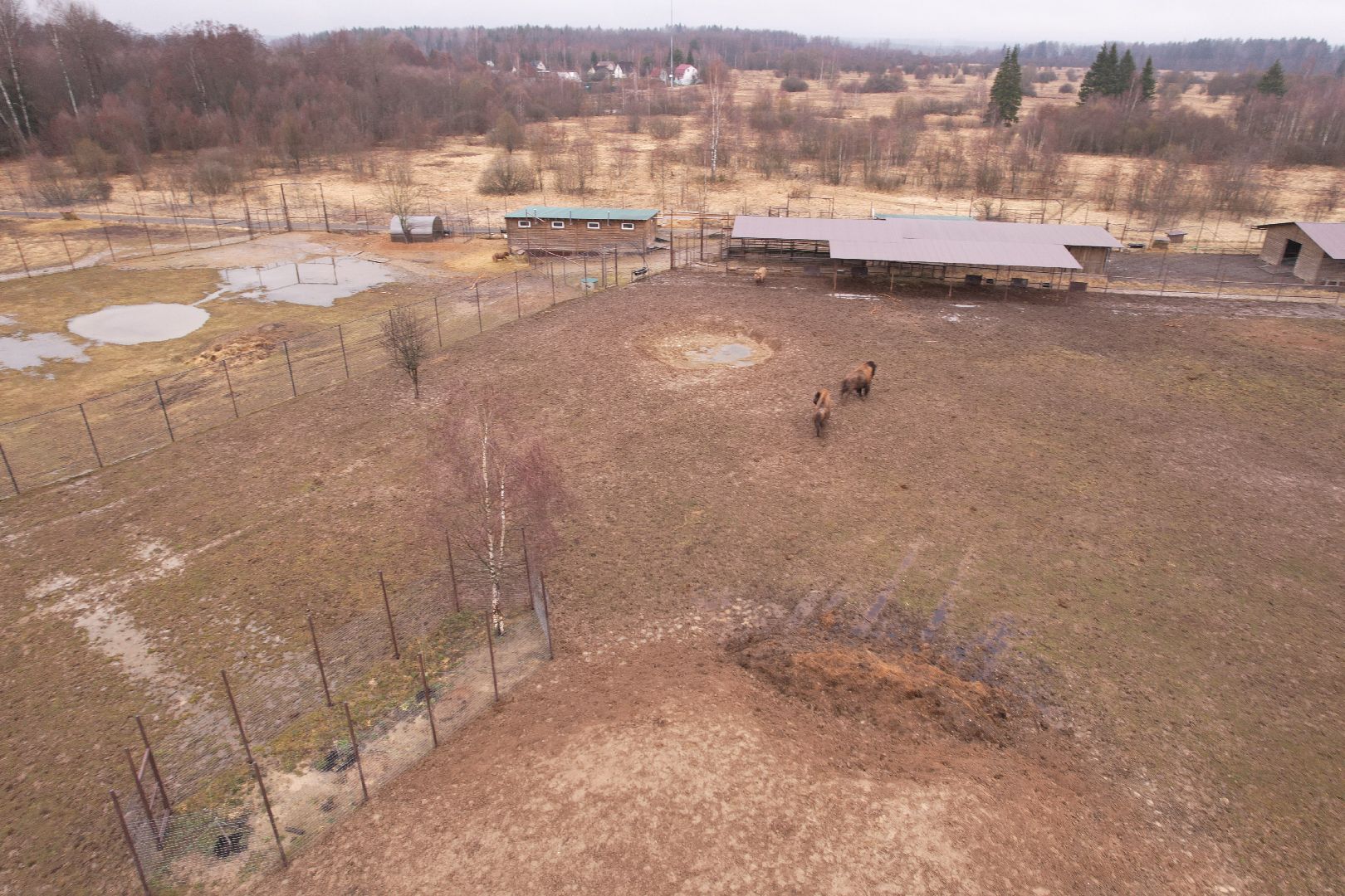 видео с коптера, сафари-парк в можайске, туризм можайска,