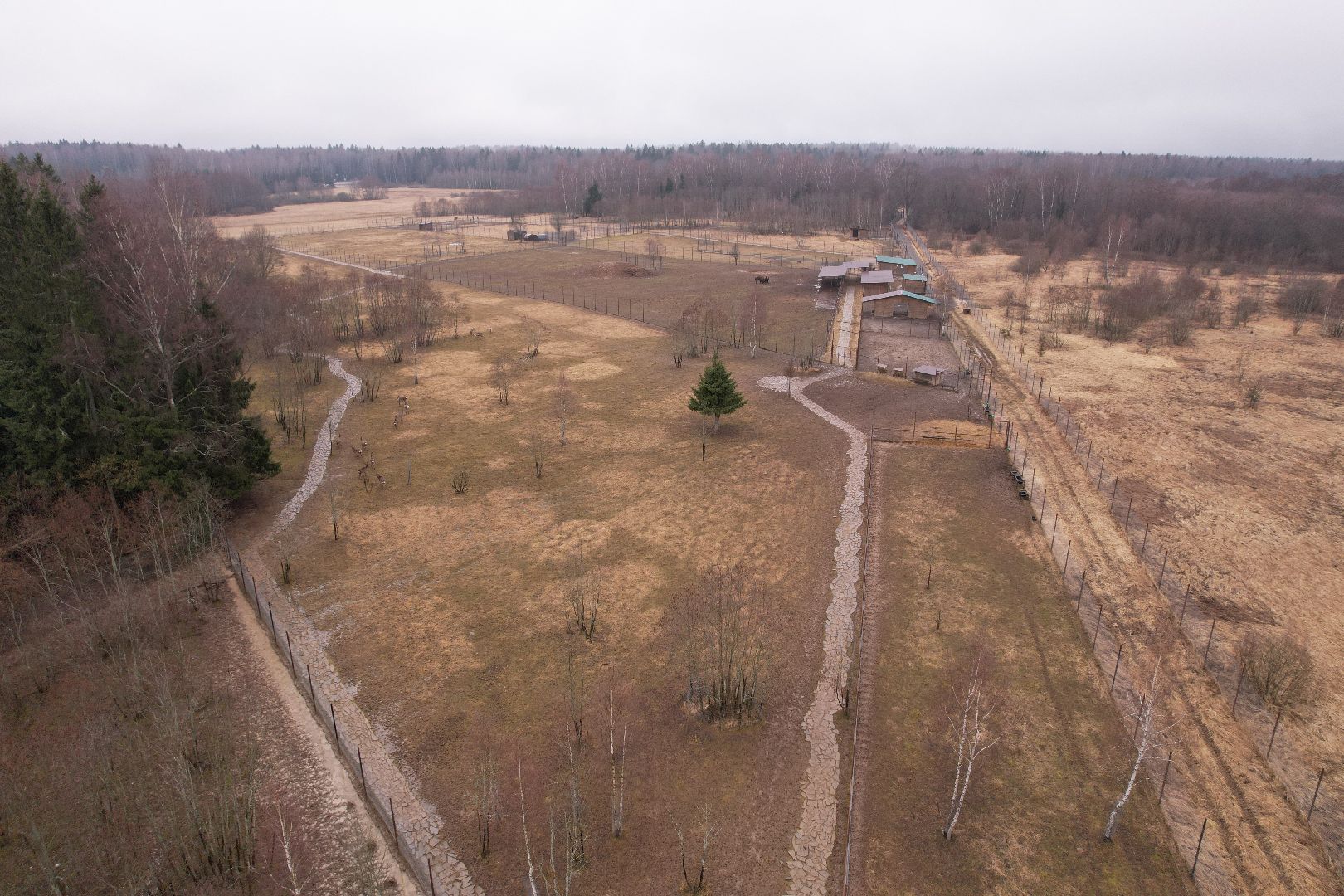 видео с коптера, сафари-парк в можайске, туризм можайска,