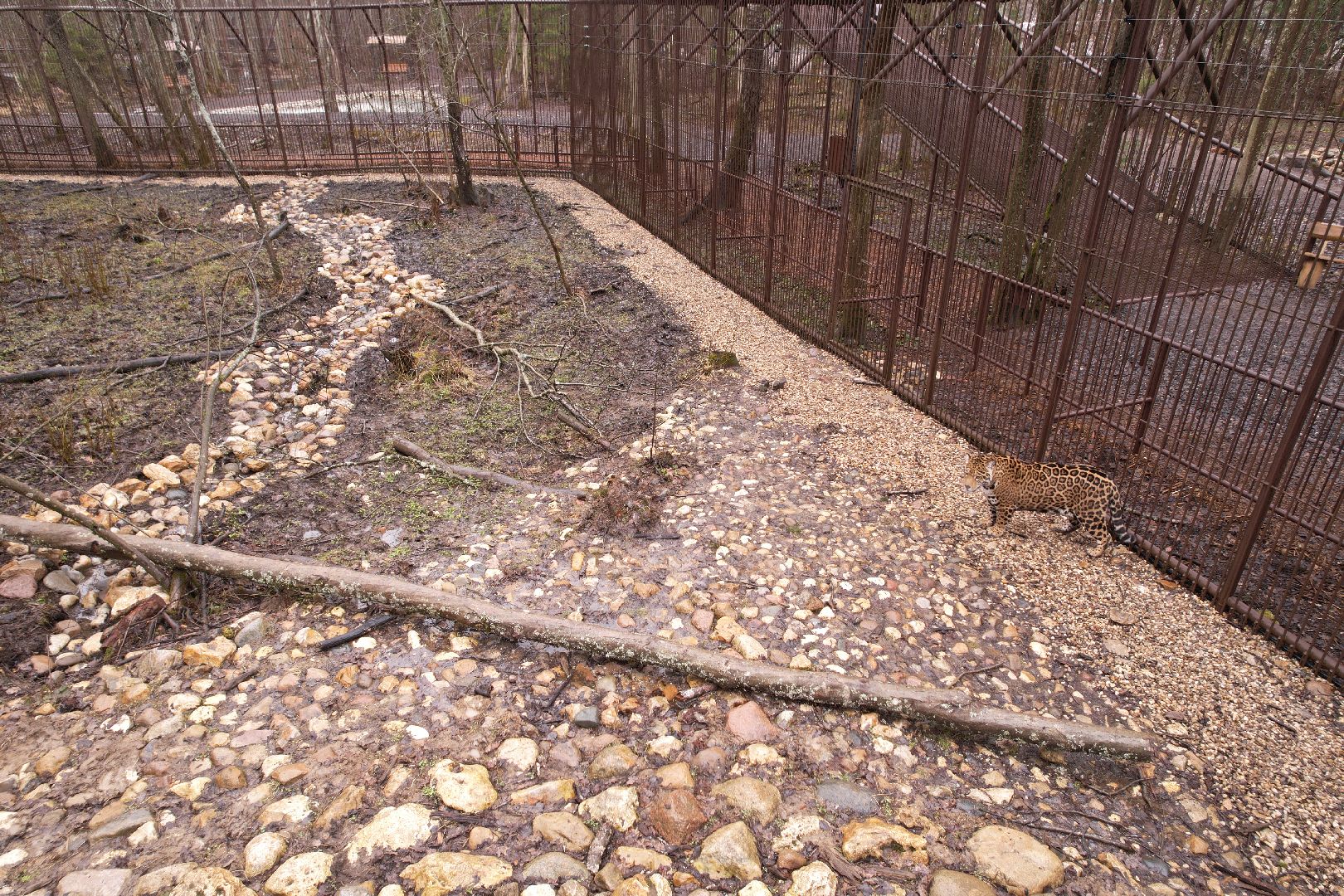 видео с коптера, сафари-парк в можайске, туризм можайска,