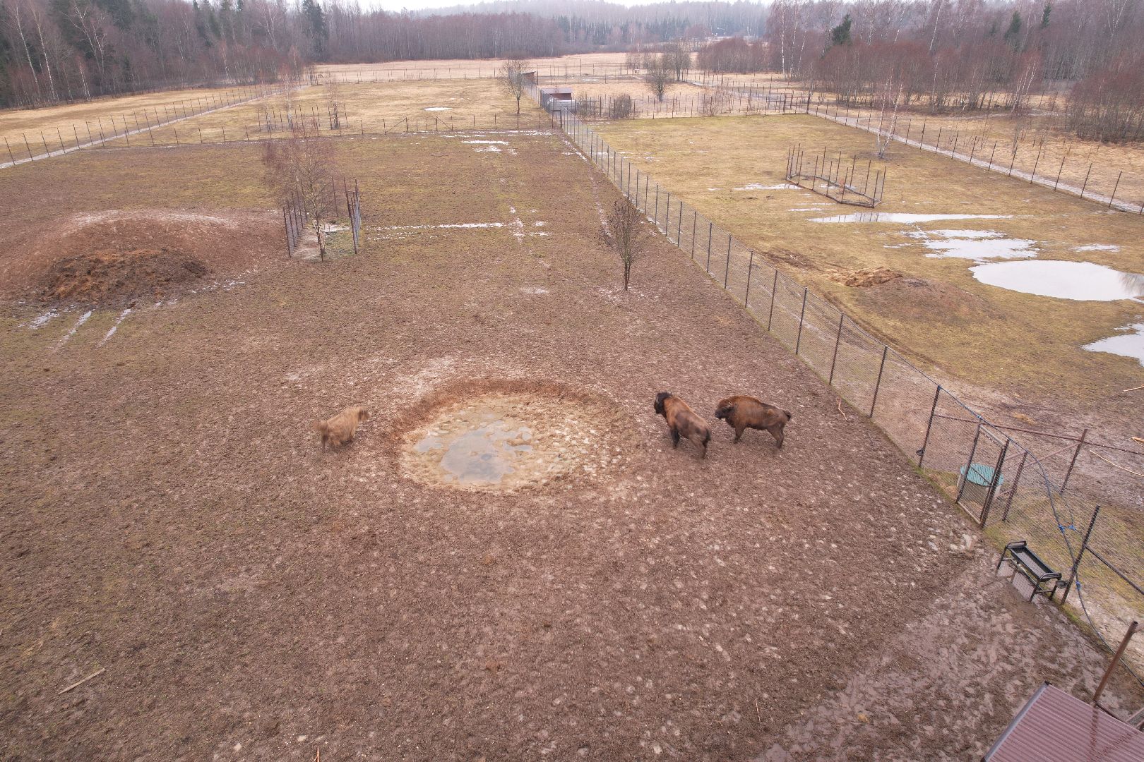 видео с коптера, сафари-парк в можайске, туризм можайска,