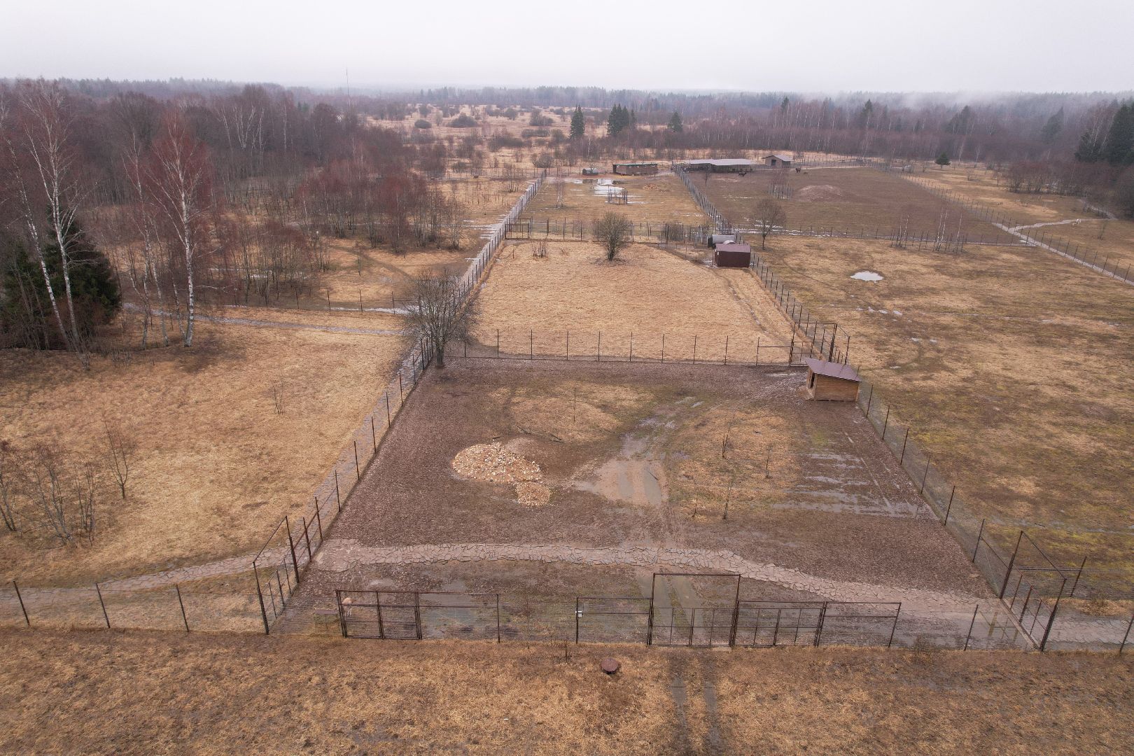 видео с коптера, сафари-парк в можайске, туризм можайска,