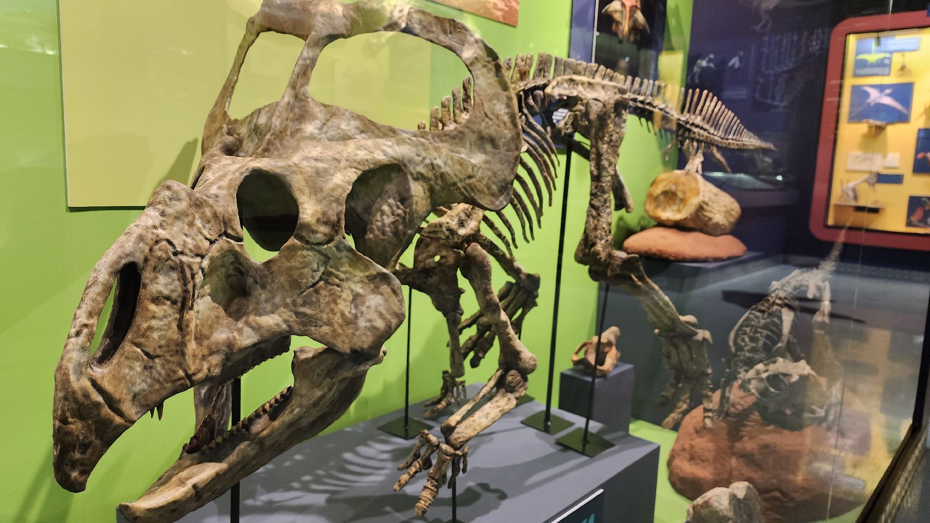 музей, истра, культура,