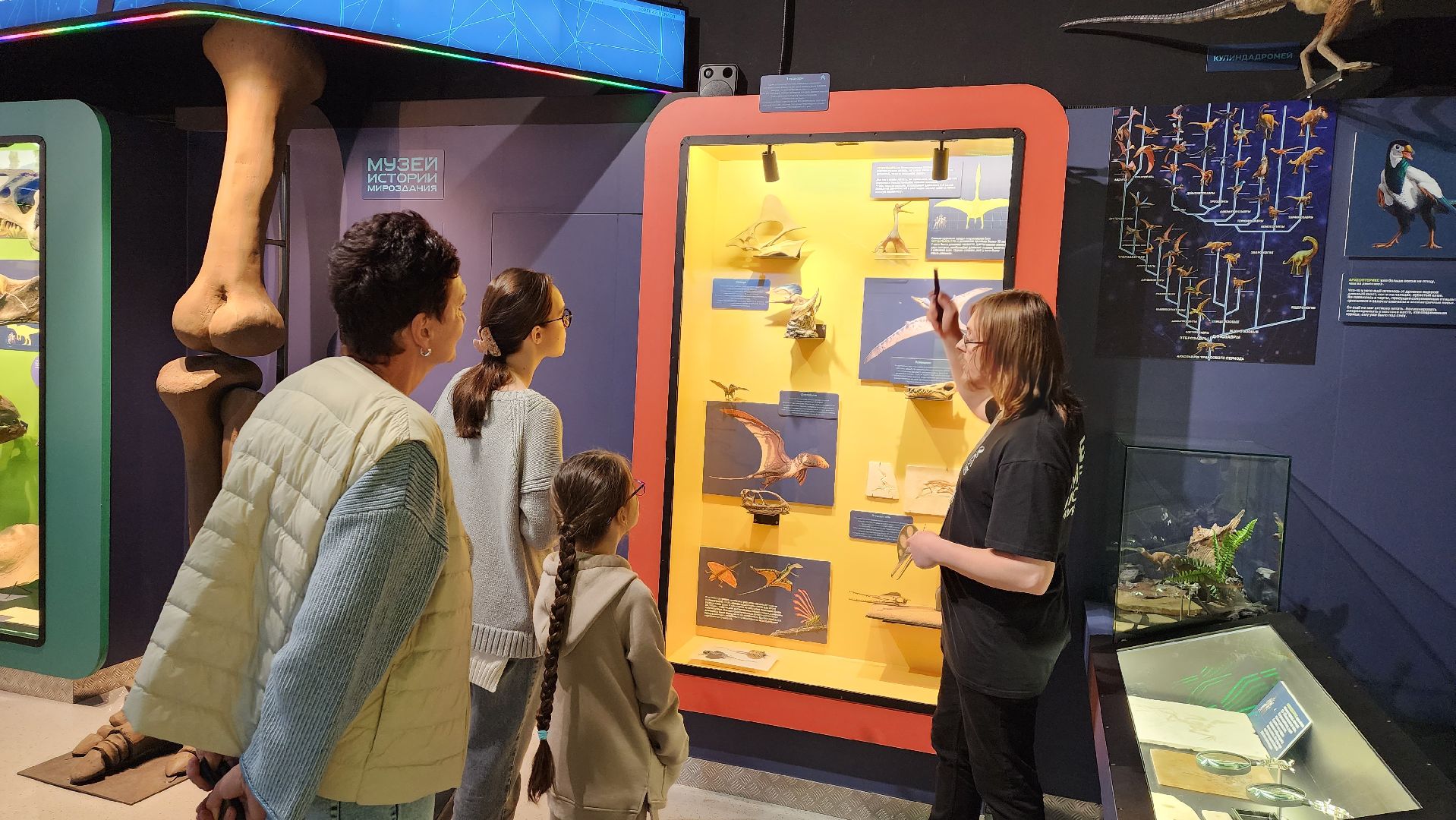 музей, истра, культура,