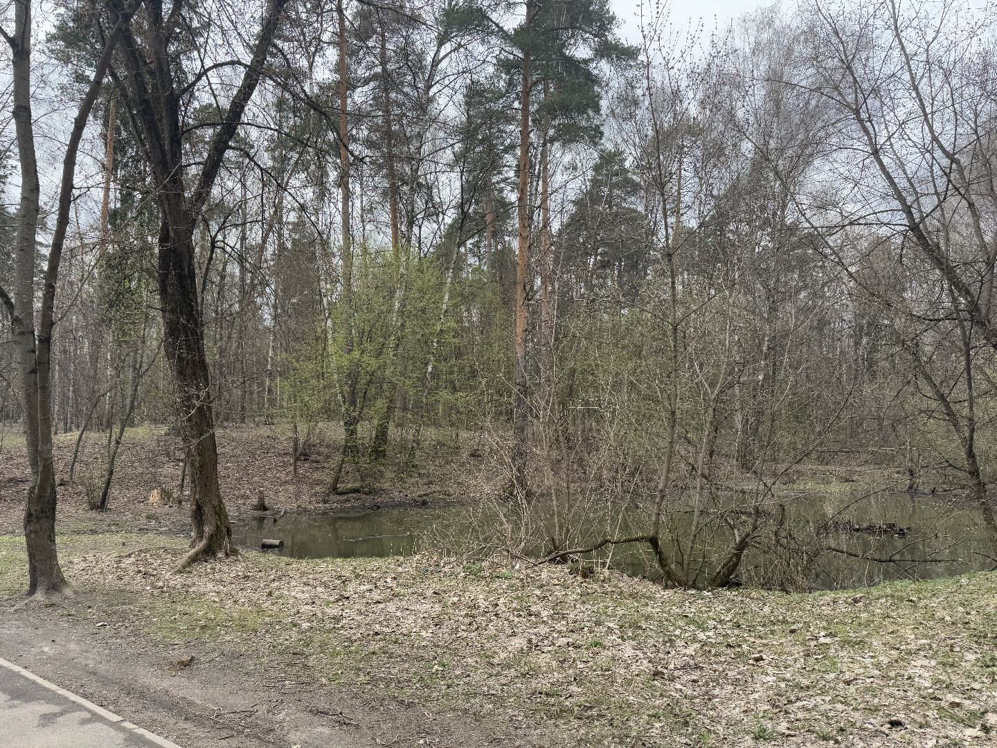 балашиха, пехорка, готовность к лету,