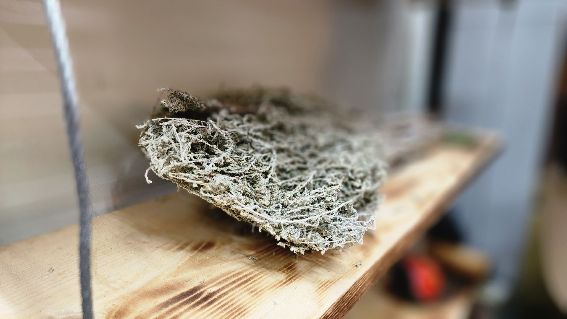 Руза , профориентация, фабричный квартал, образование ,