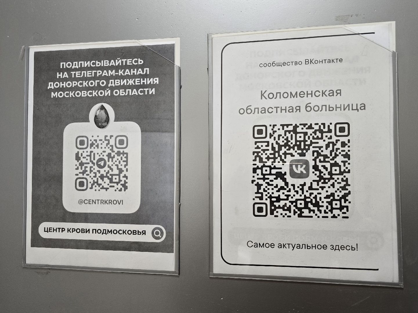 Коломна, день донора, переливание крови, сдача крови, молодая гвардия,