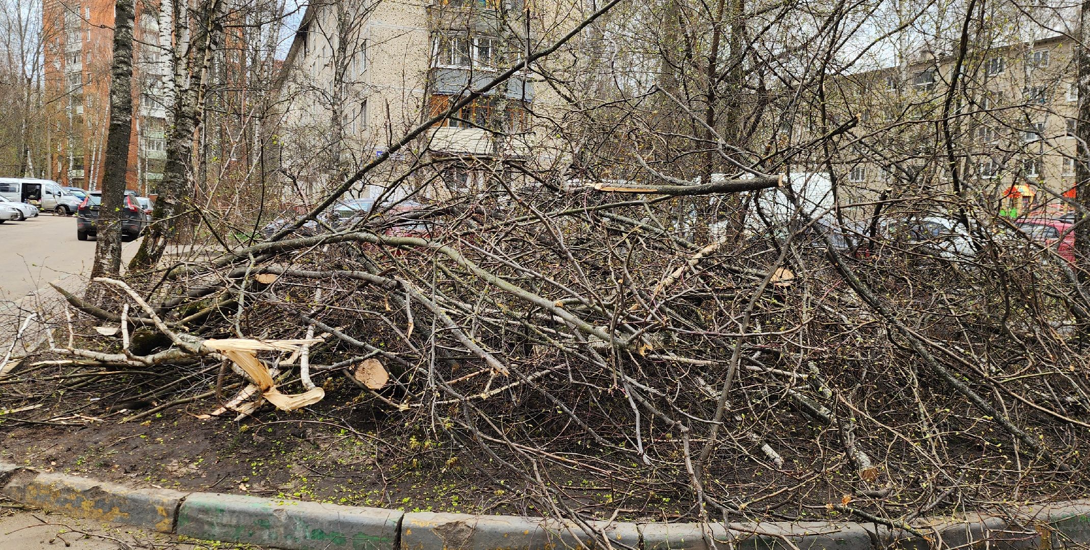 Химки, опиловка деревьев, Жкх, Благоустройство ,